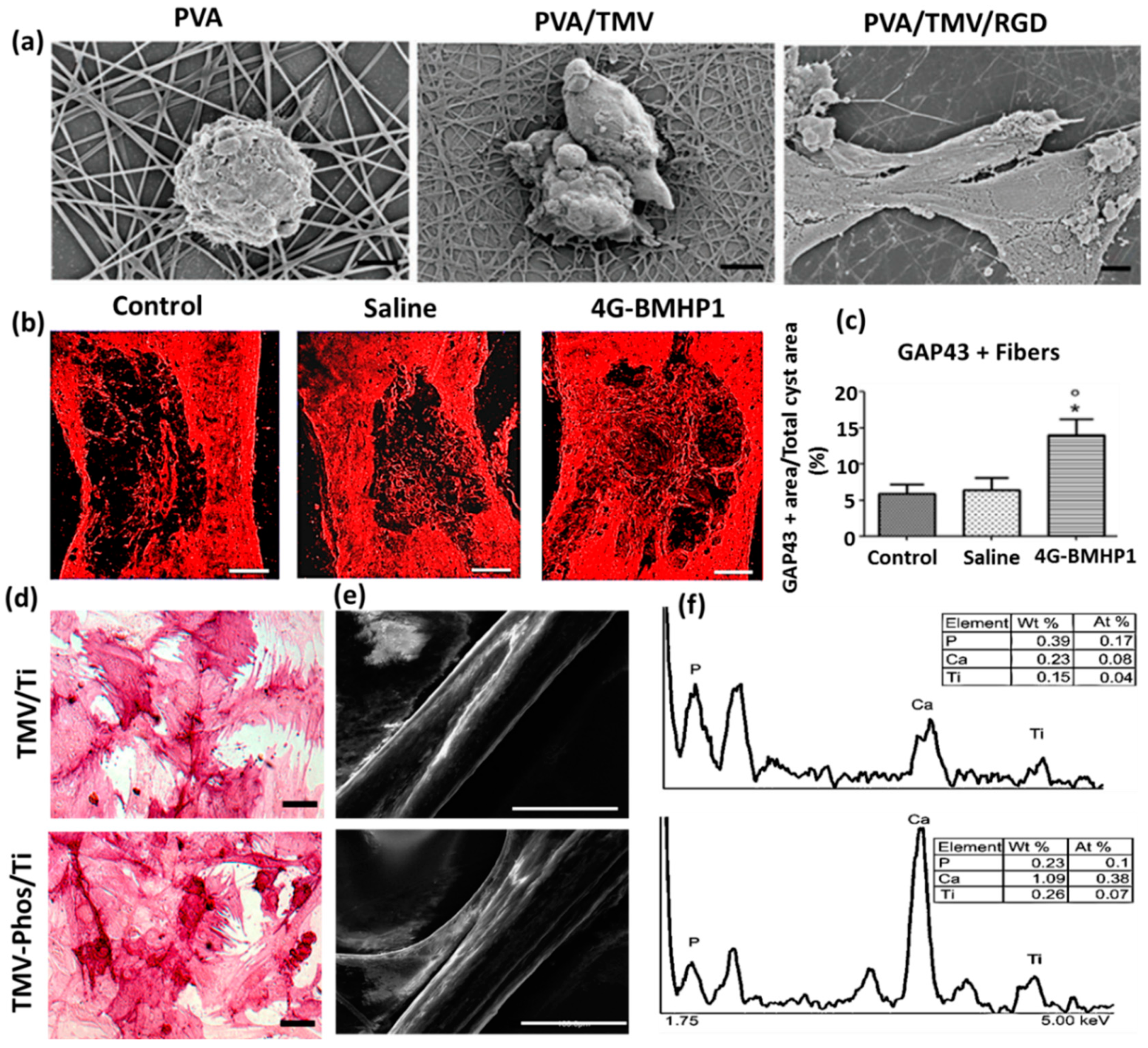 Nanomaterials 09 01014 g003