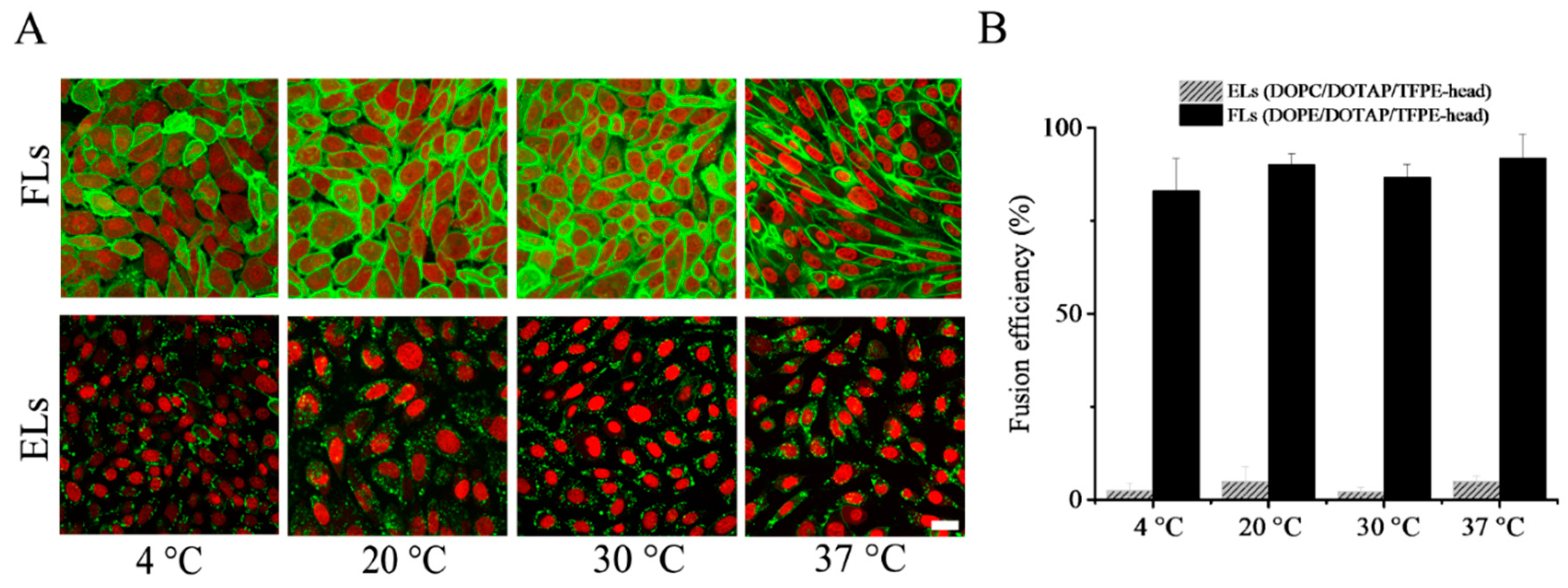Nanomaterials 09 01025 g002
