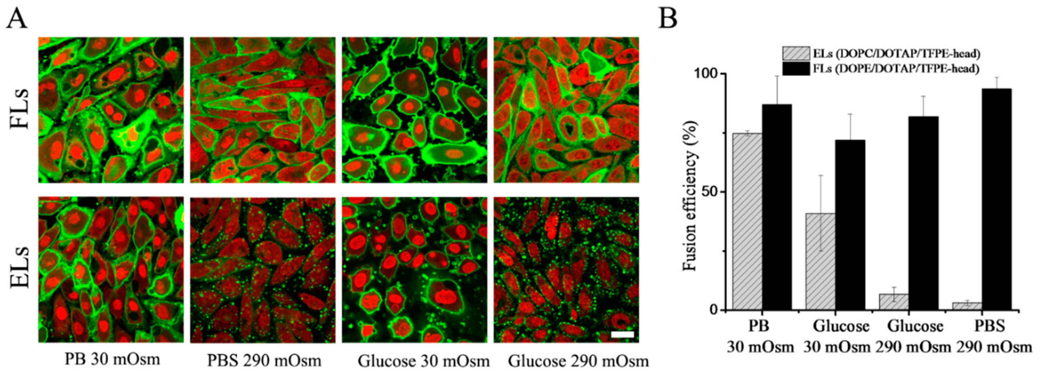 Nanomaterials 09 01025 g004