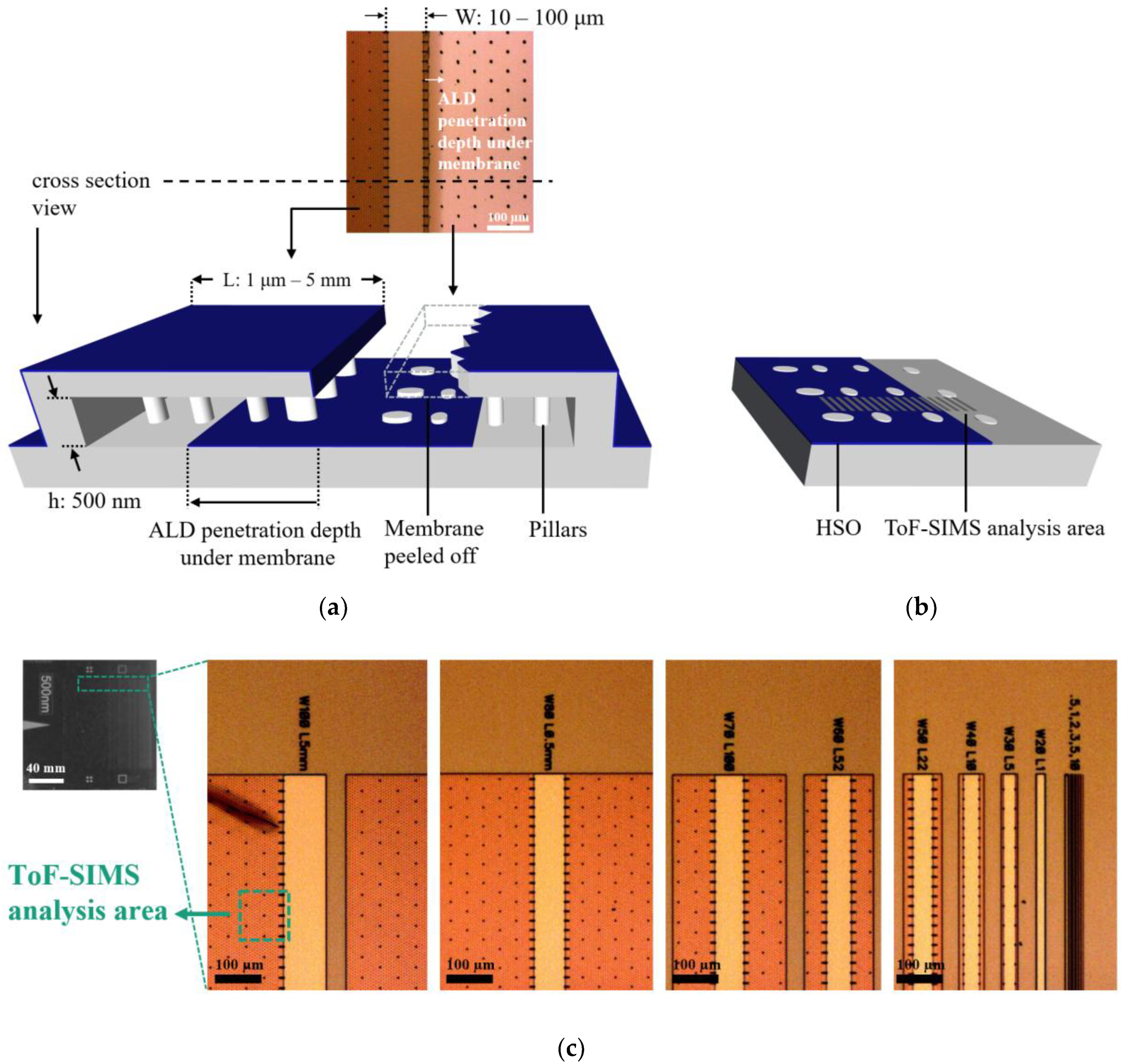 Nanomaterials Free Full Text Tof Sims 3d Analysis Of Thin Films Deposited In High Aspect Ratio Structures Via Atomic Layer Deposition And Chemical Vapor Deposition Html Nanomaterials Free Full Text Tof Sims 3d Analysis Of Thin Films Deposited In High Aspect Ratio Structures Via Atomic Layer Deposition And Chemical Vapor Deposition Html