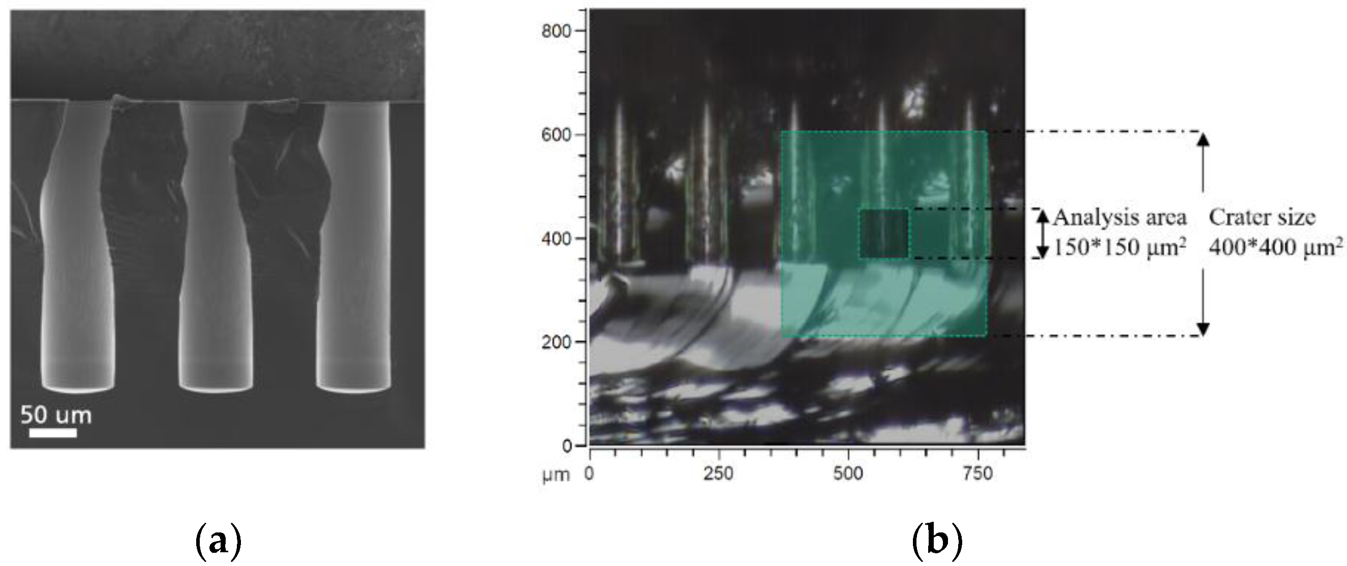 Nanomaterials 09 01035 g003