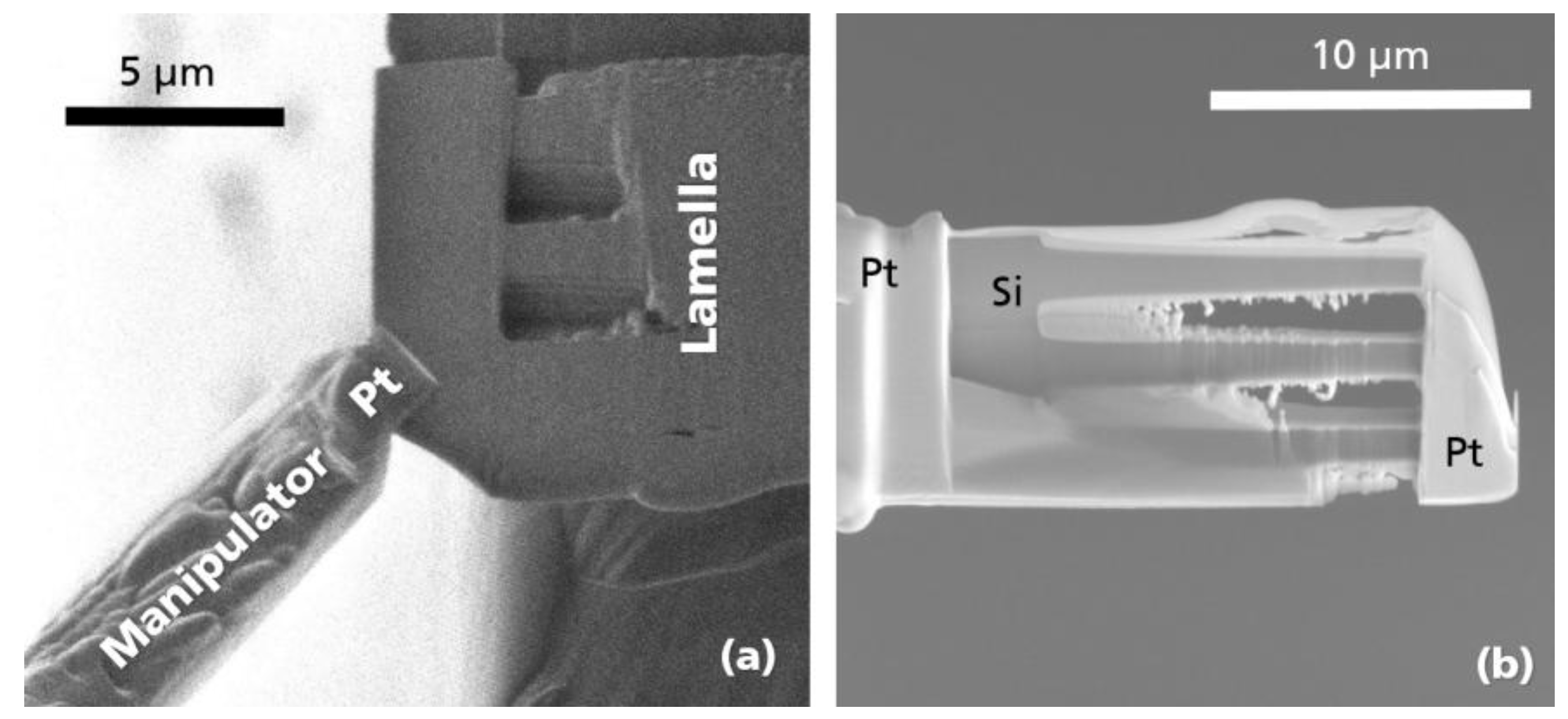 Nanomaterials 09 01035 g0a2