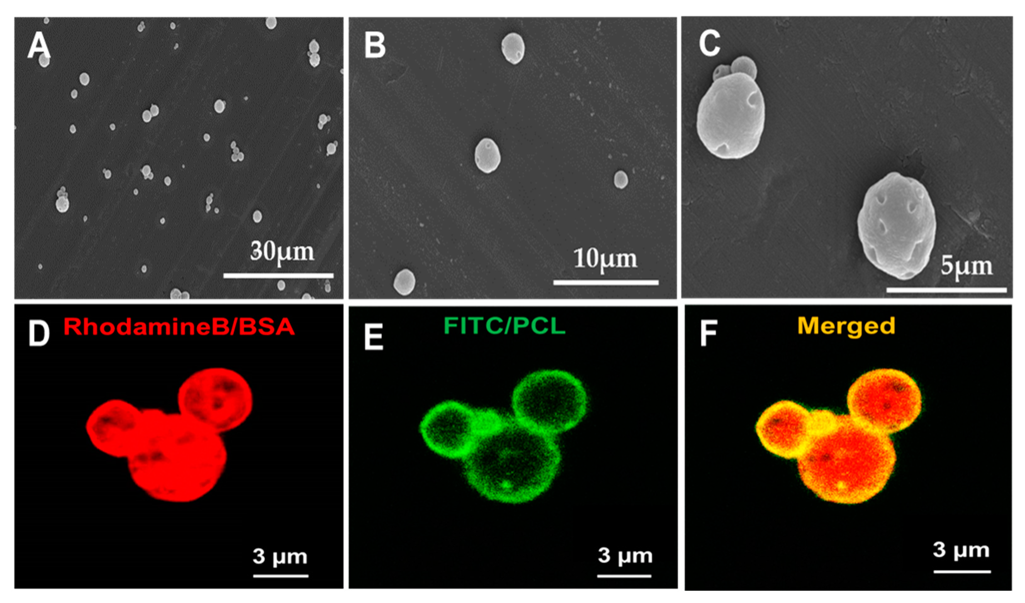 Nanomaterials 09 01037 g002