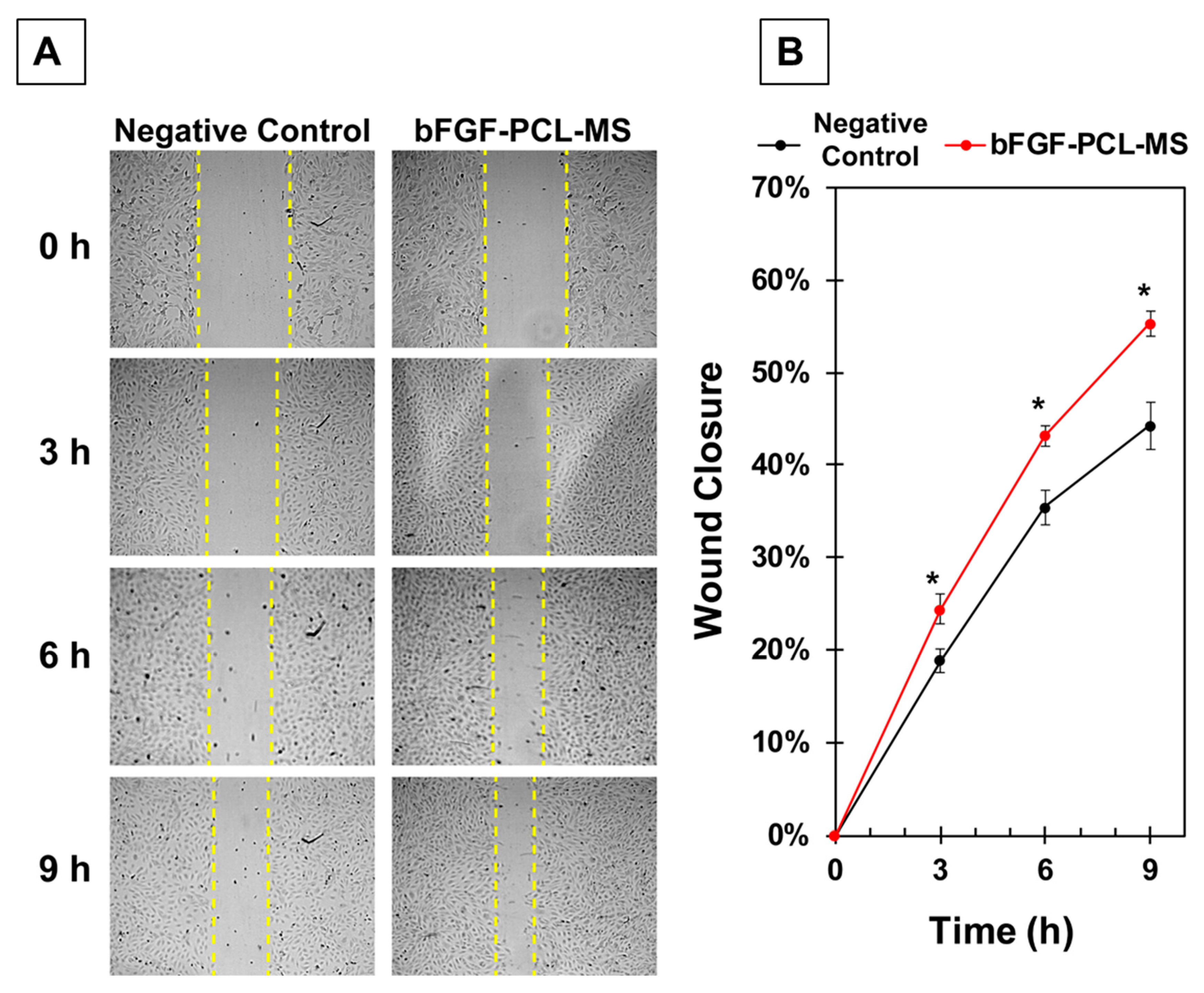 Nanomaterials 09 01037 g005