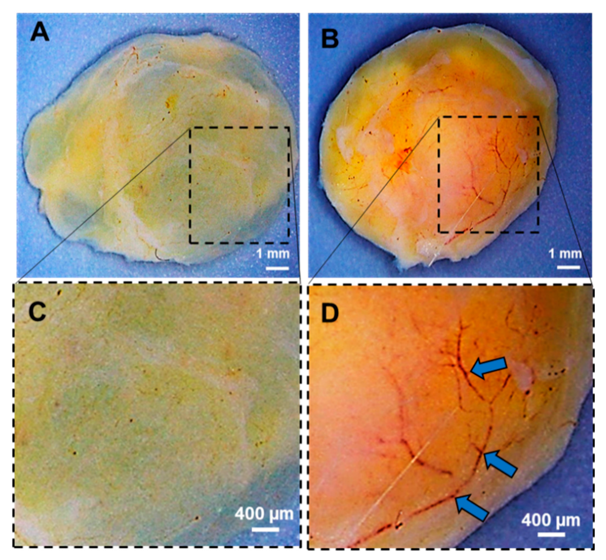Nanomaterials 09 01037 g007
