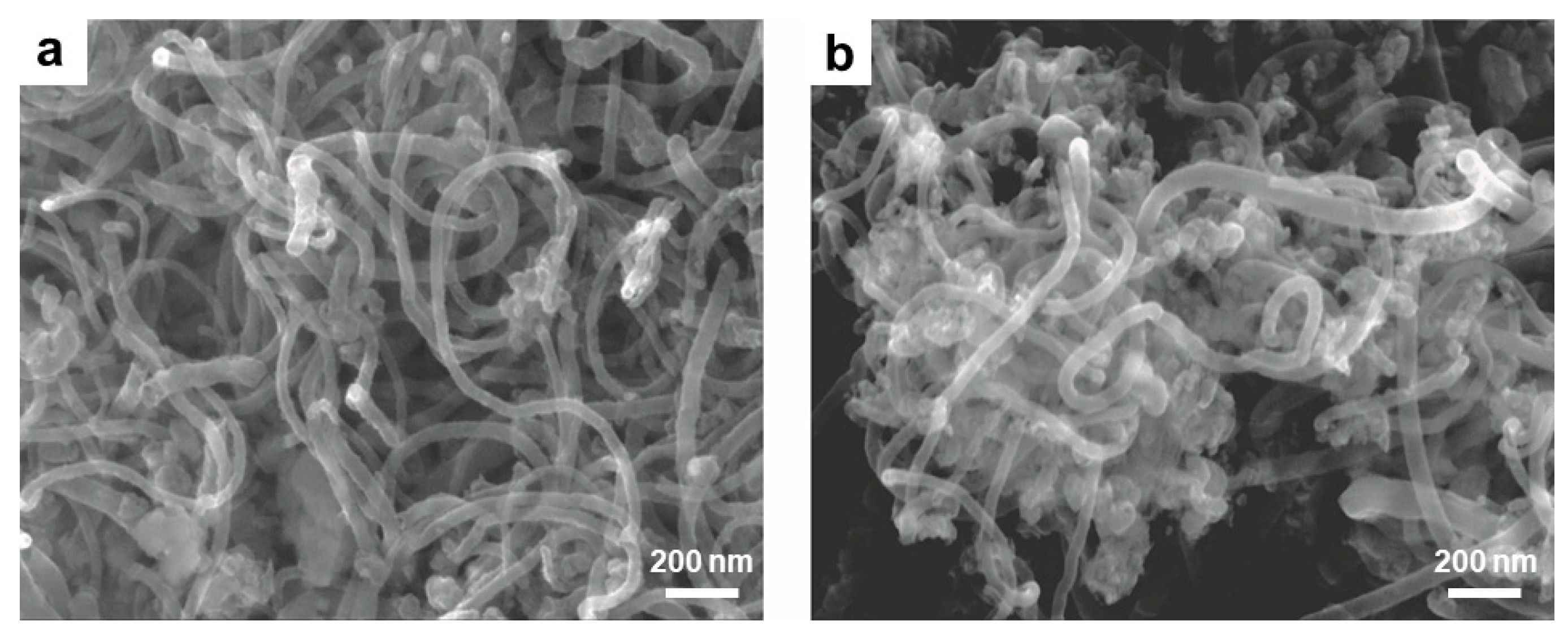 Nanomaterials 09 01045 g006