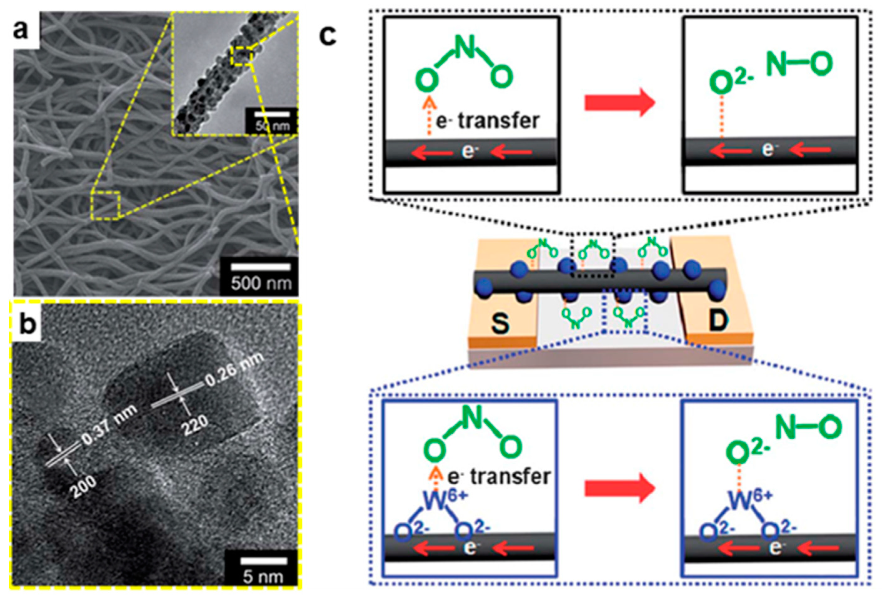 Nanomaterials 09 01045 g007