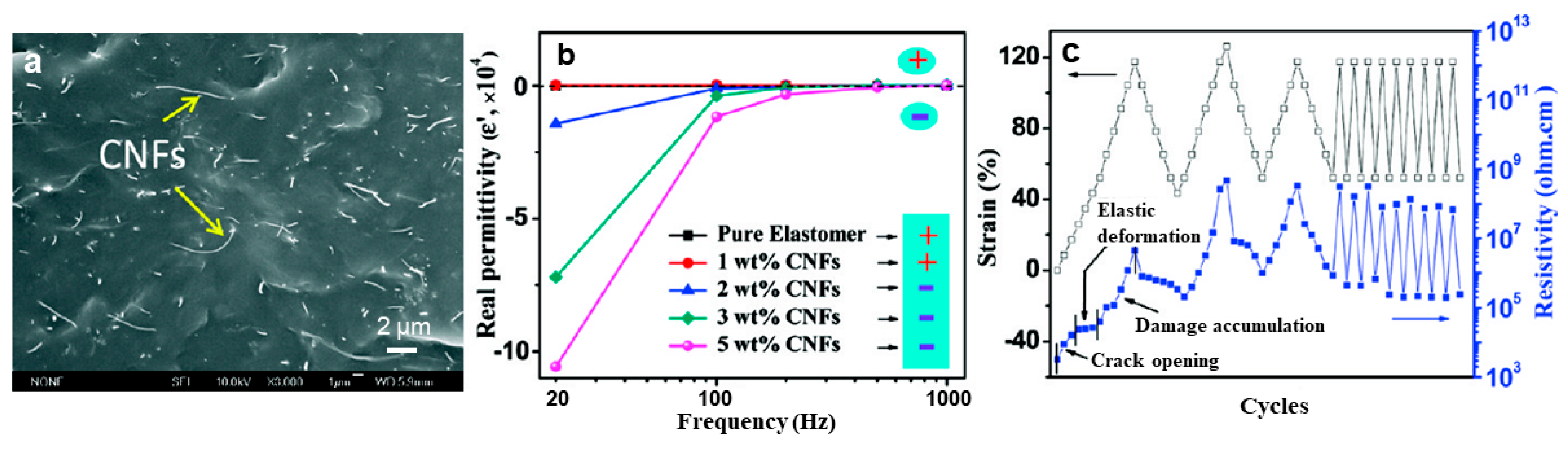 Nanomaterials 09 01045 g008
