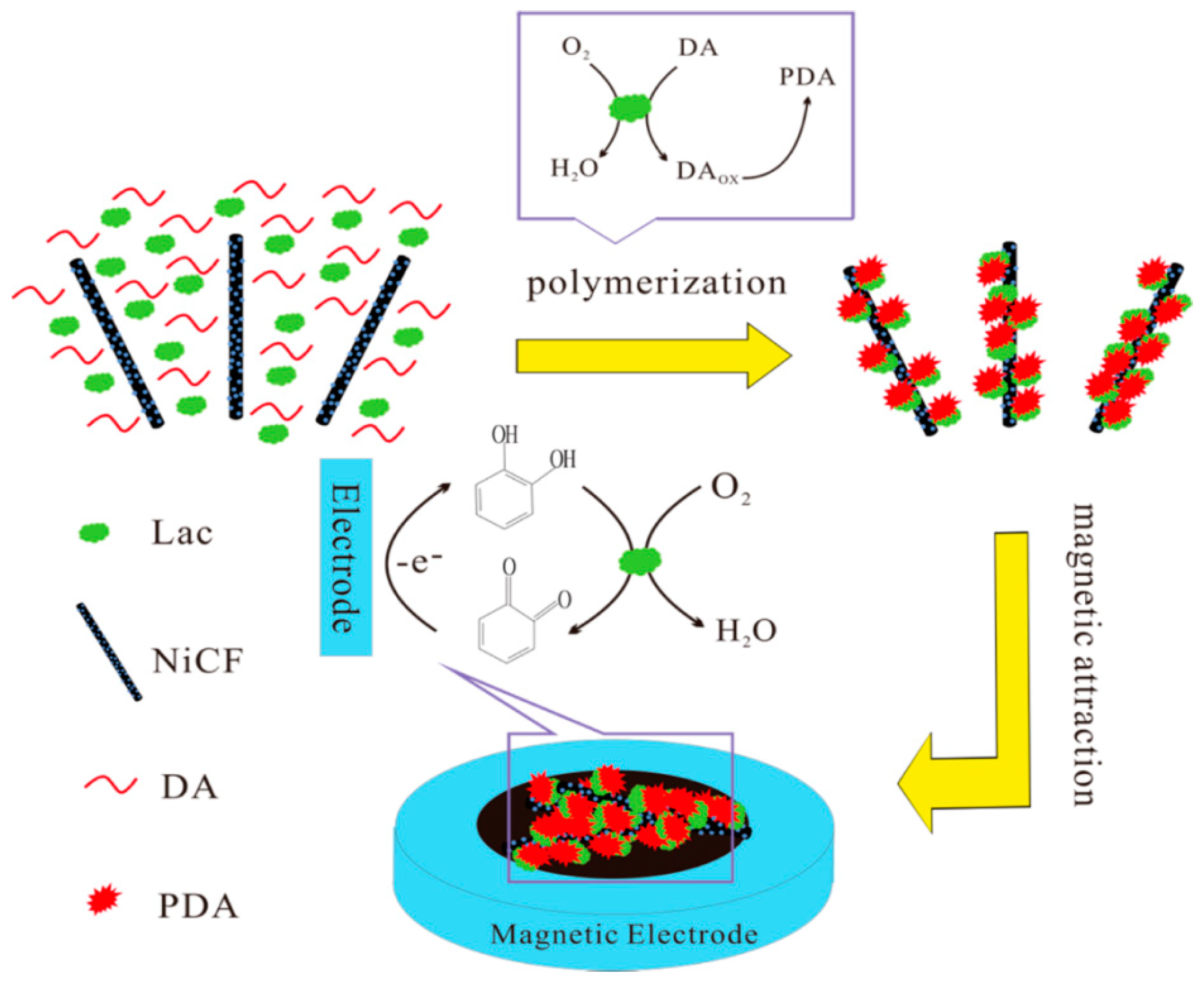 Nanomaterials 09 01045 g009