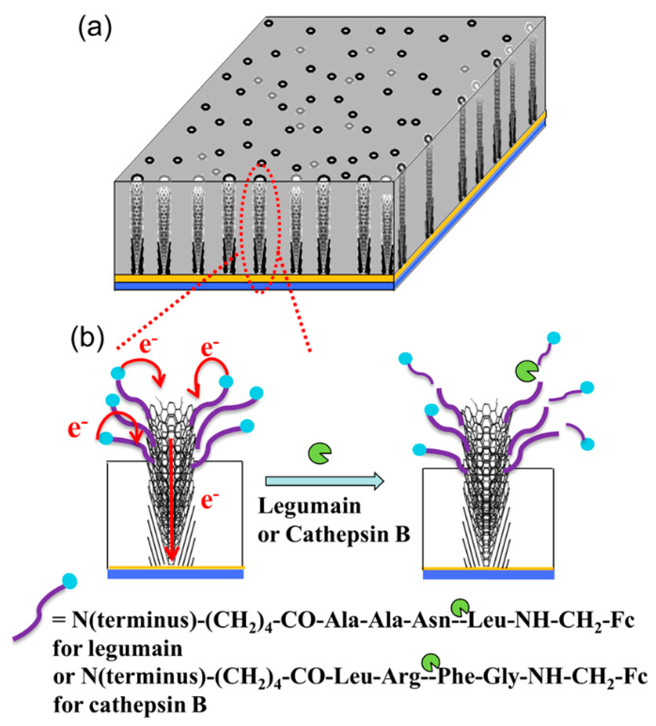 Nanomaterials 09 01045 g010