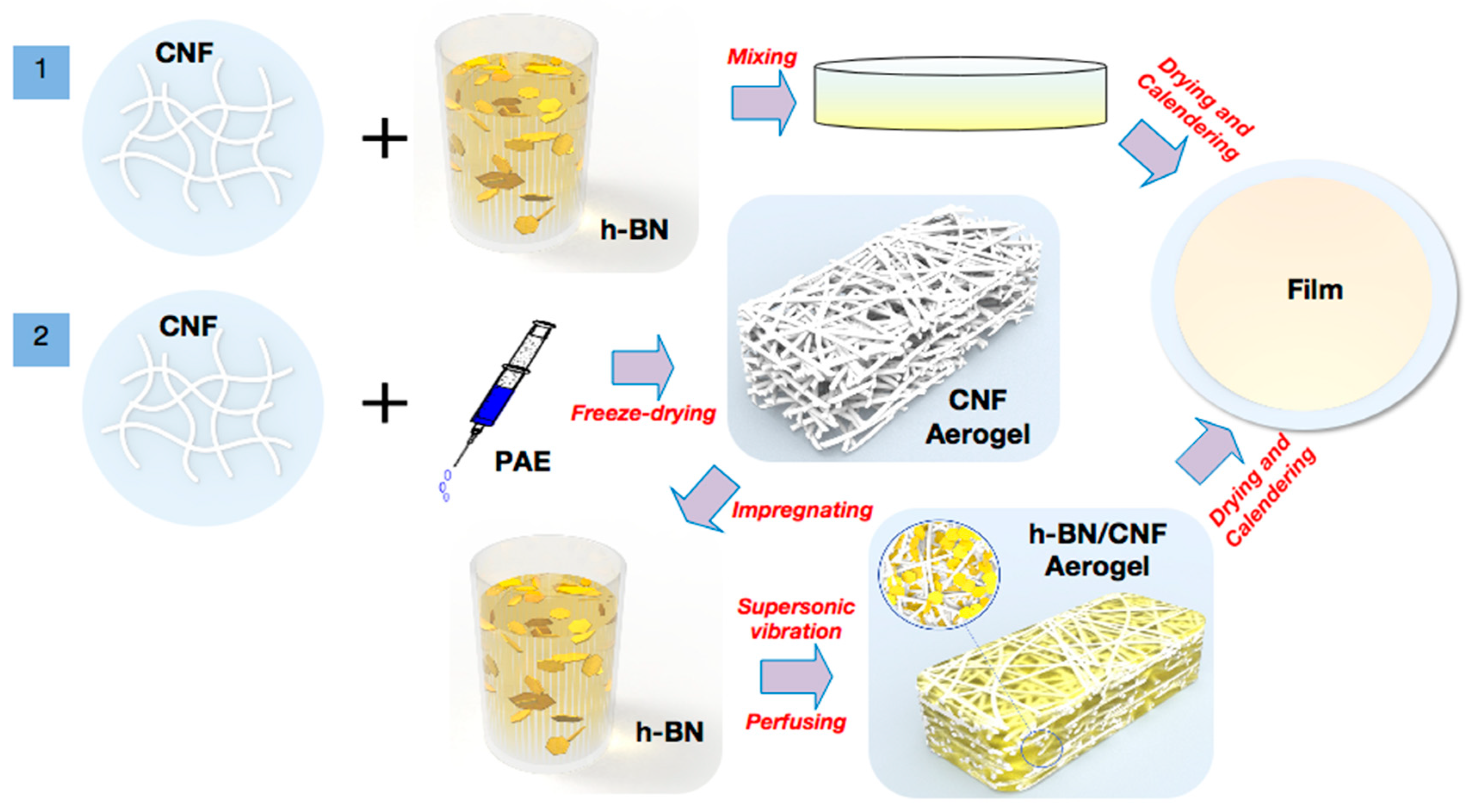 Nanomaterials 09 01051 g001