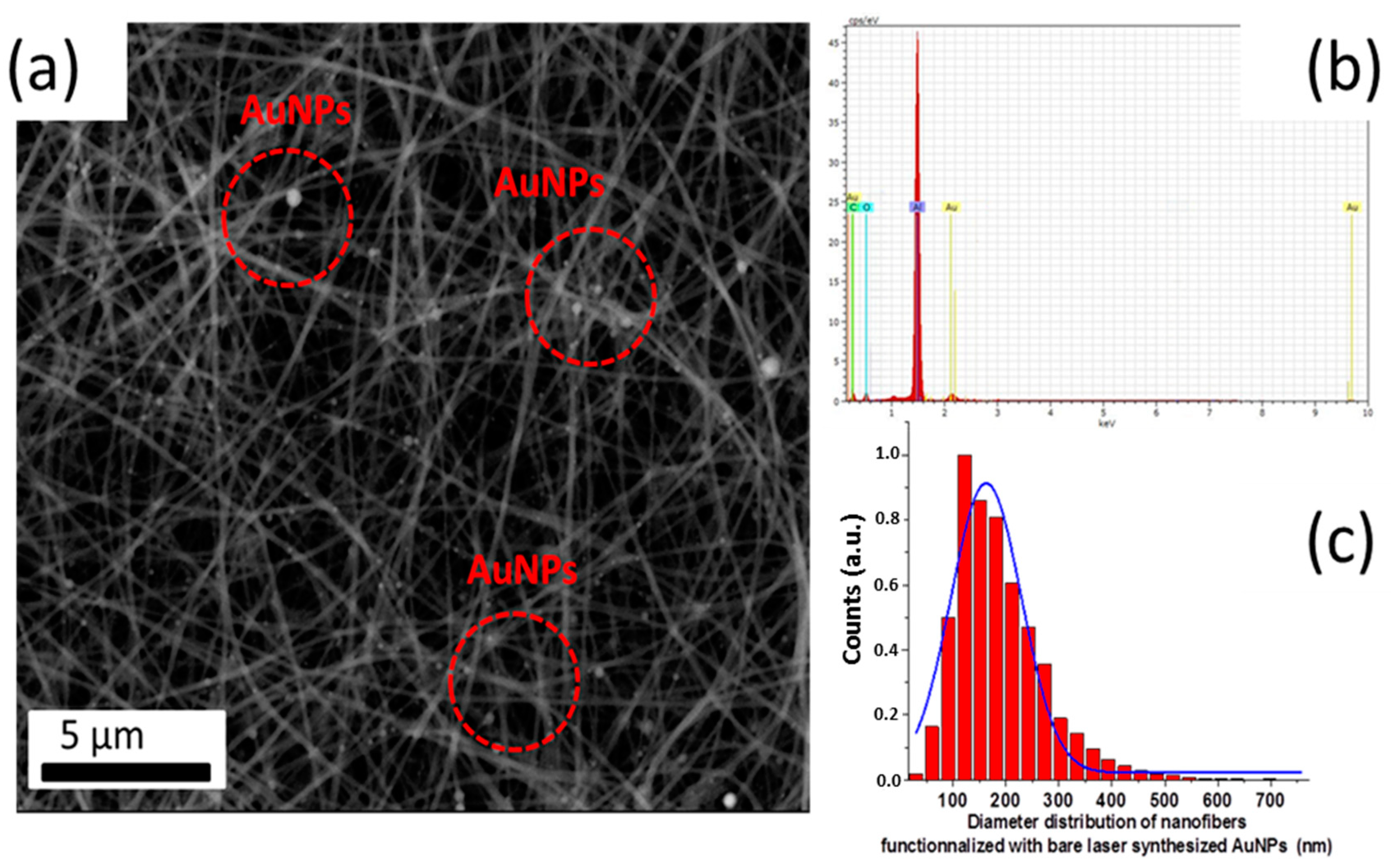 Nanomaterials 09 01058 g003