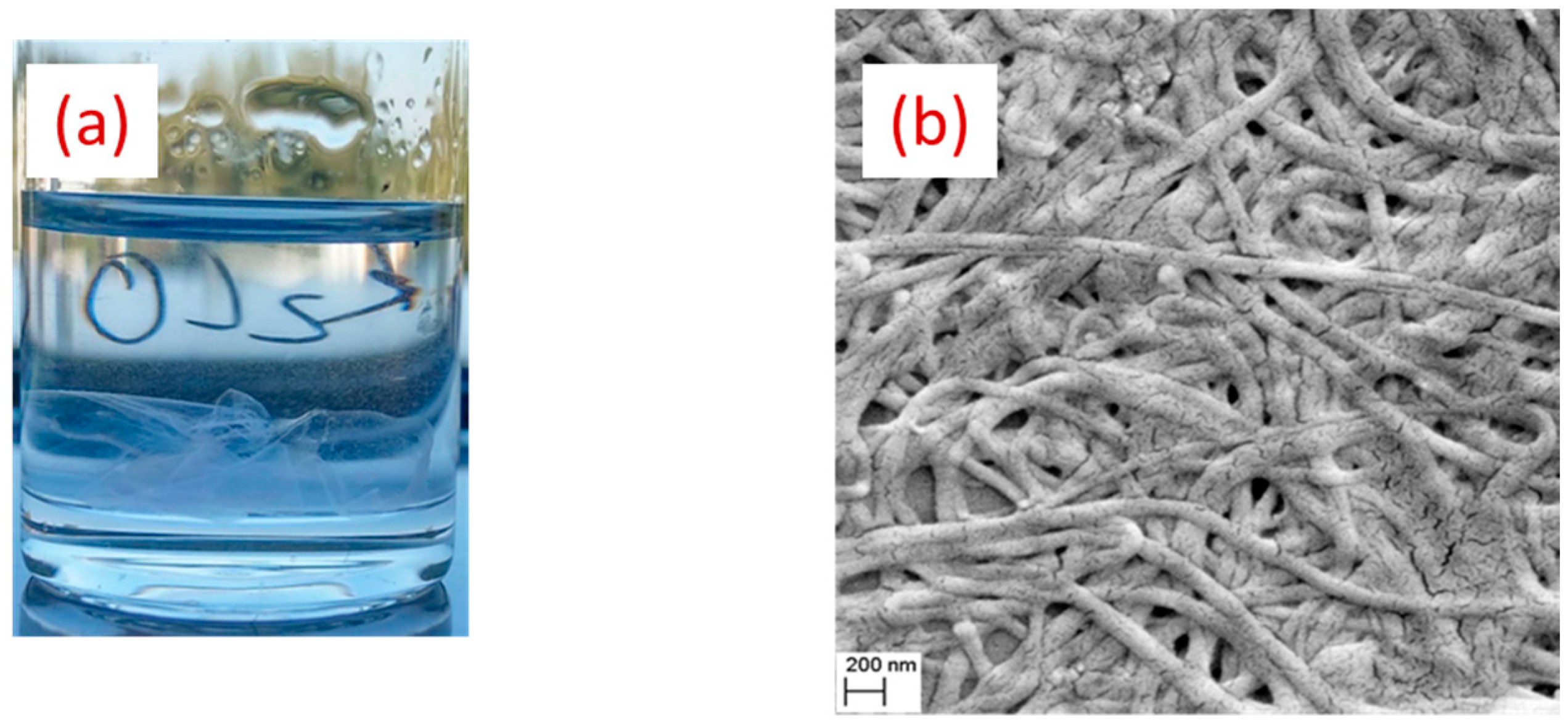 Nanomaterials 09 01058 g008