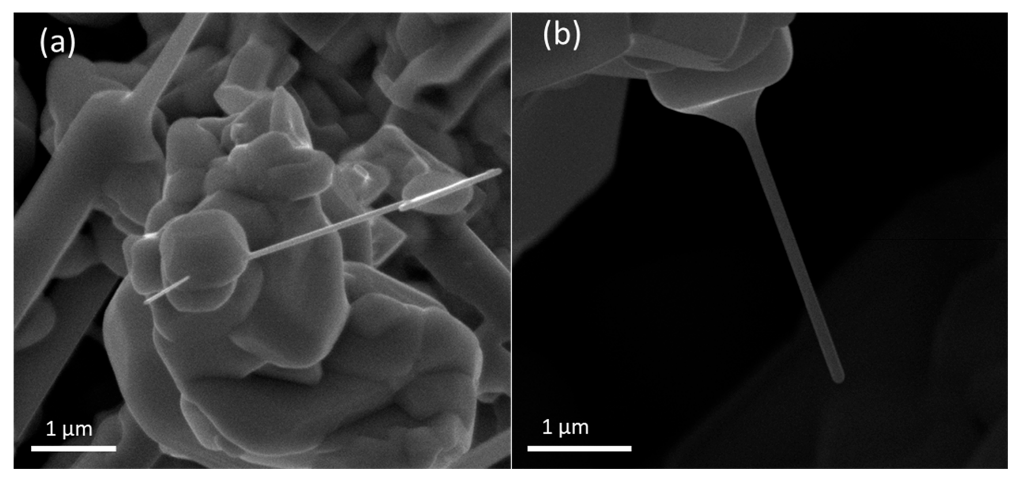 Nanomaterials 09 01062 g005