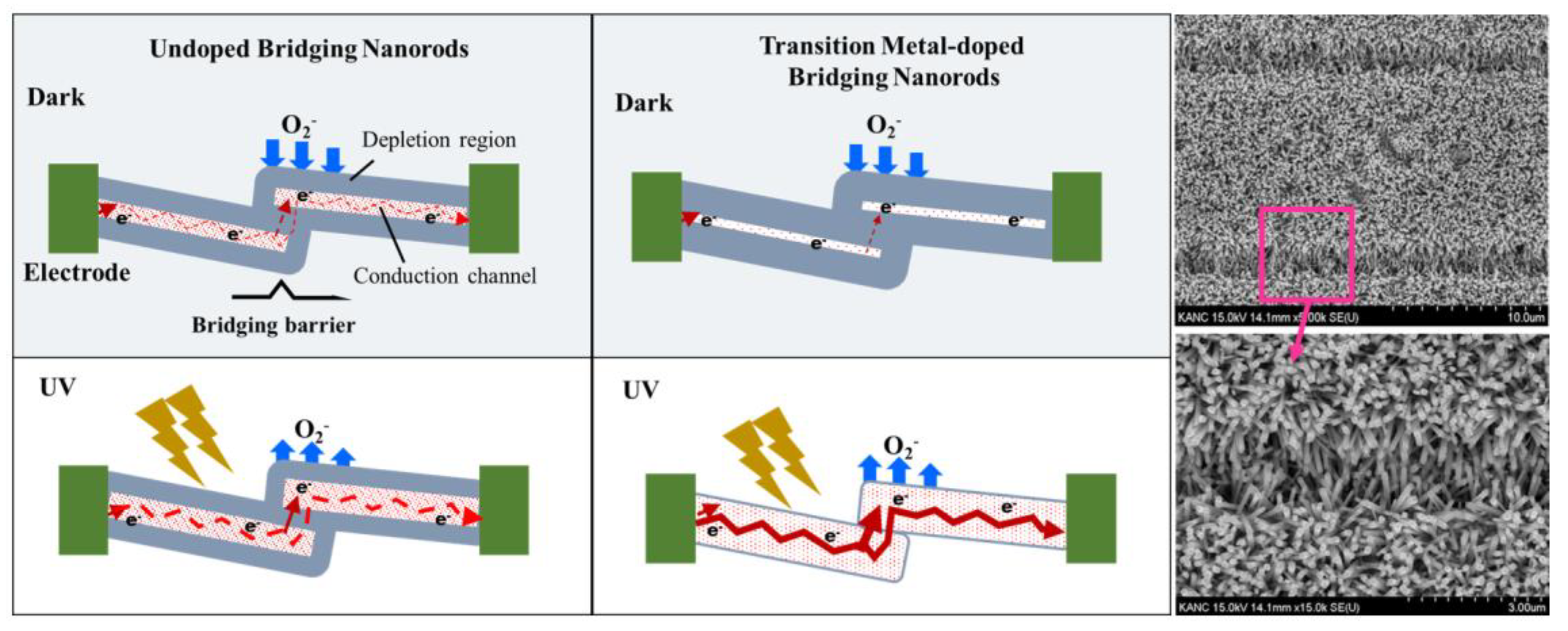 Nanomaterials 09 01067 g007 550