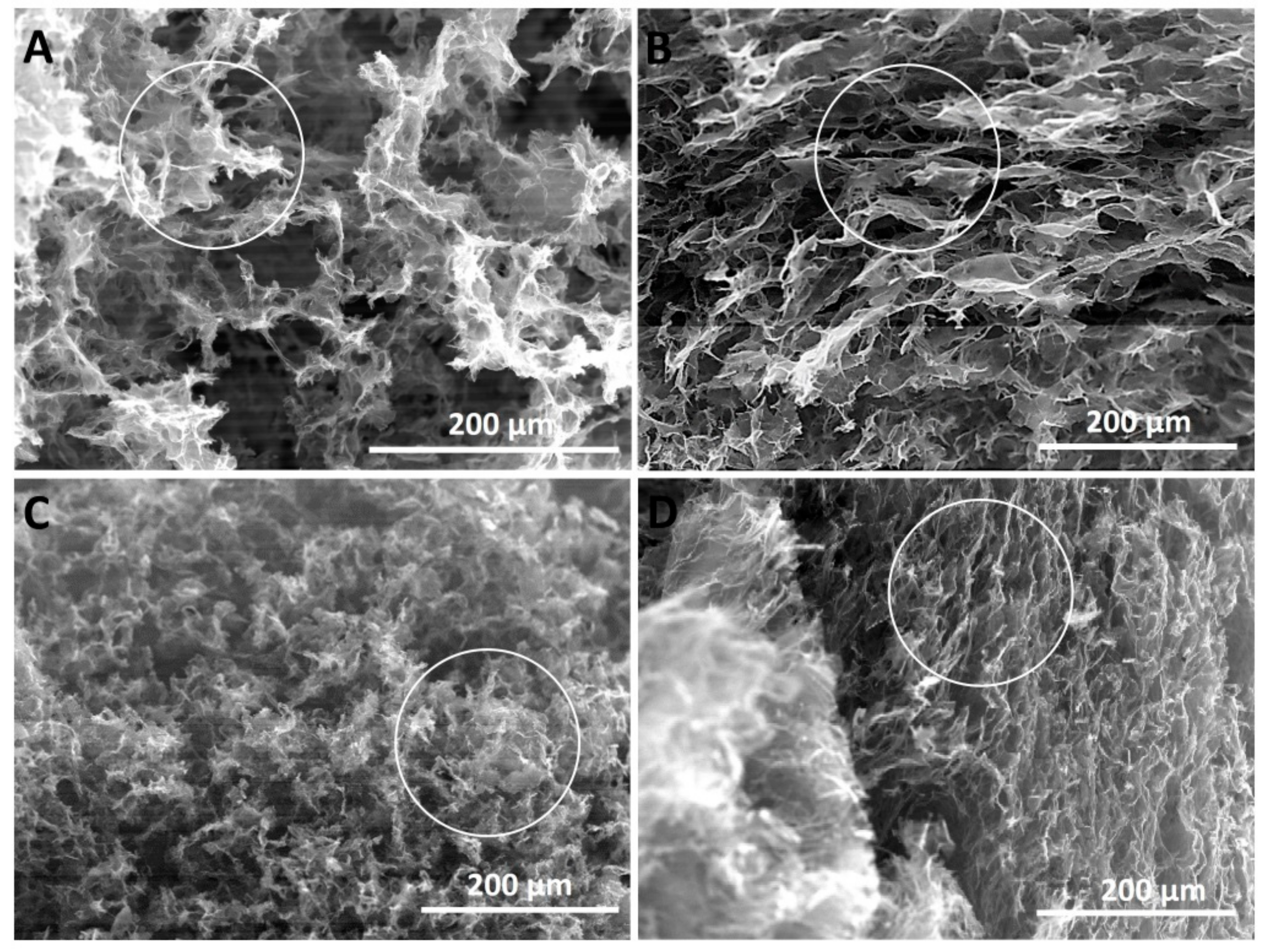 Nanomaterials 09 01077 g003