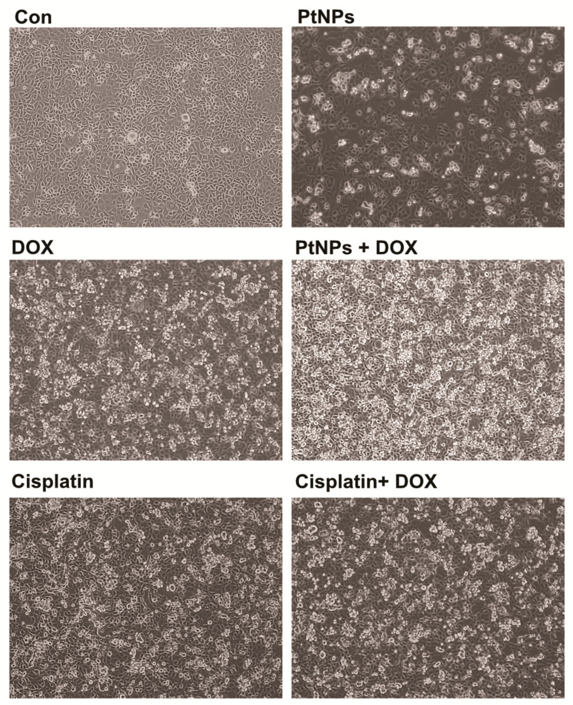 Nanomaterials 09 01089 g007 Nanomaterials 09 01089 g007