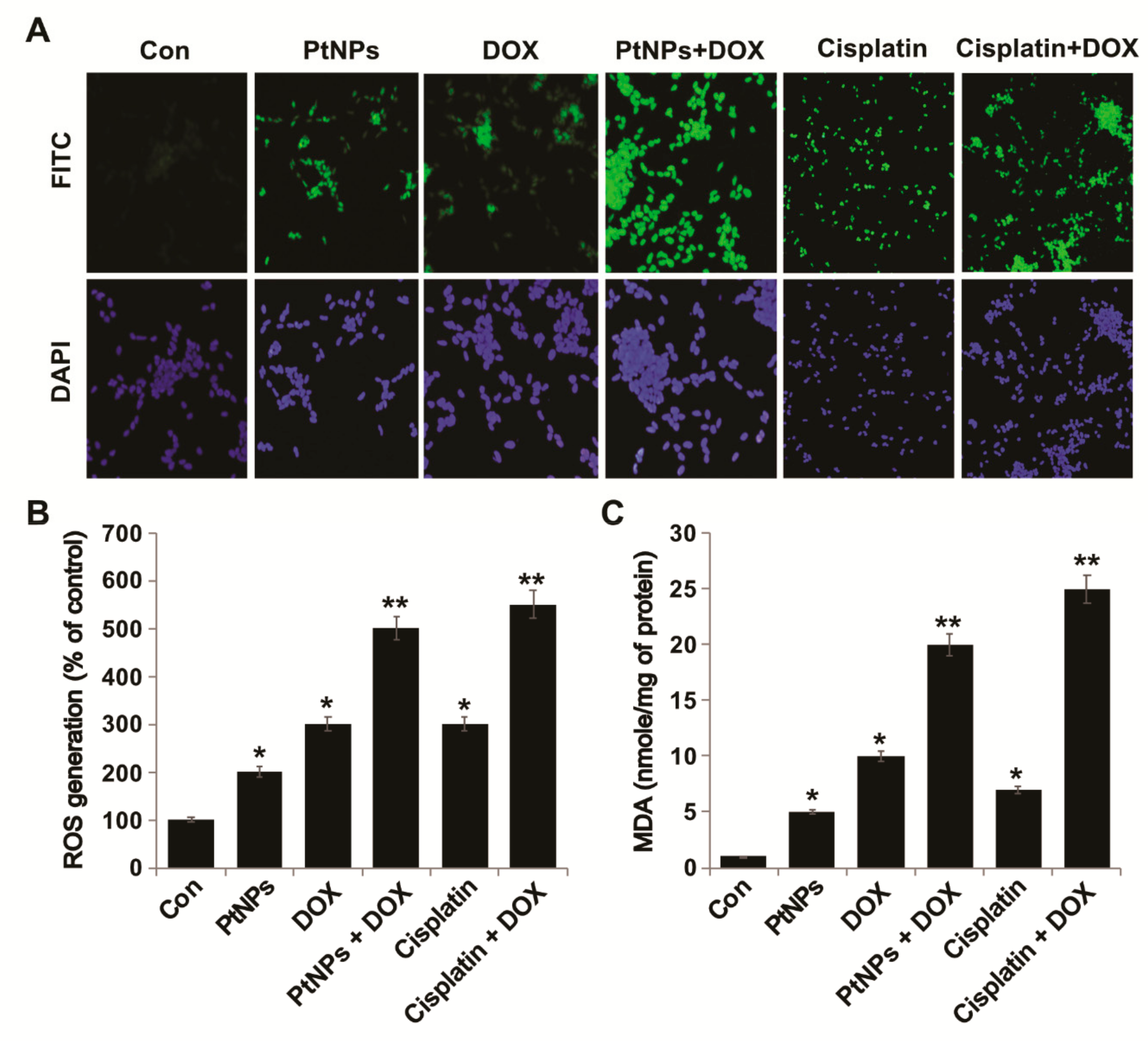 Nanomaterials 09 01089 g008 Nanomaterials 09 01089 g008