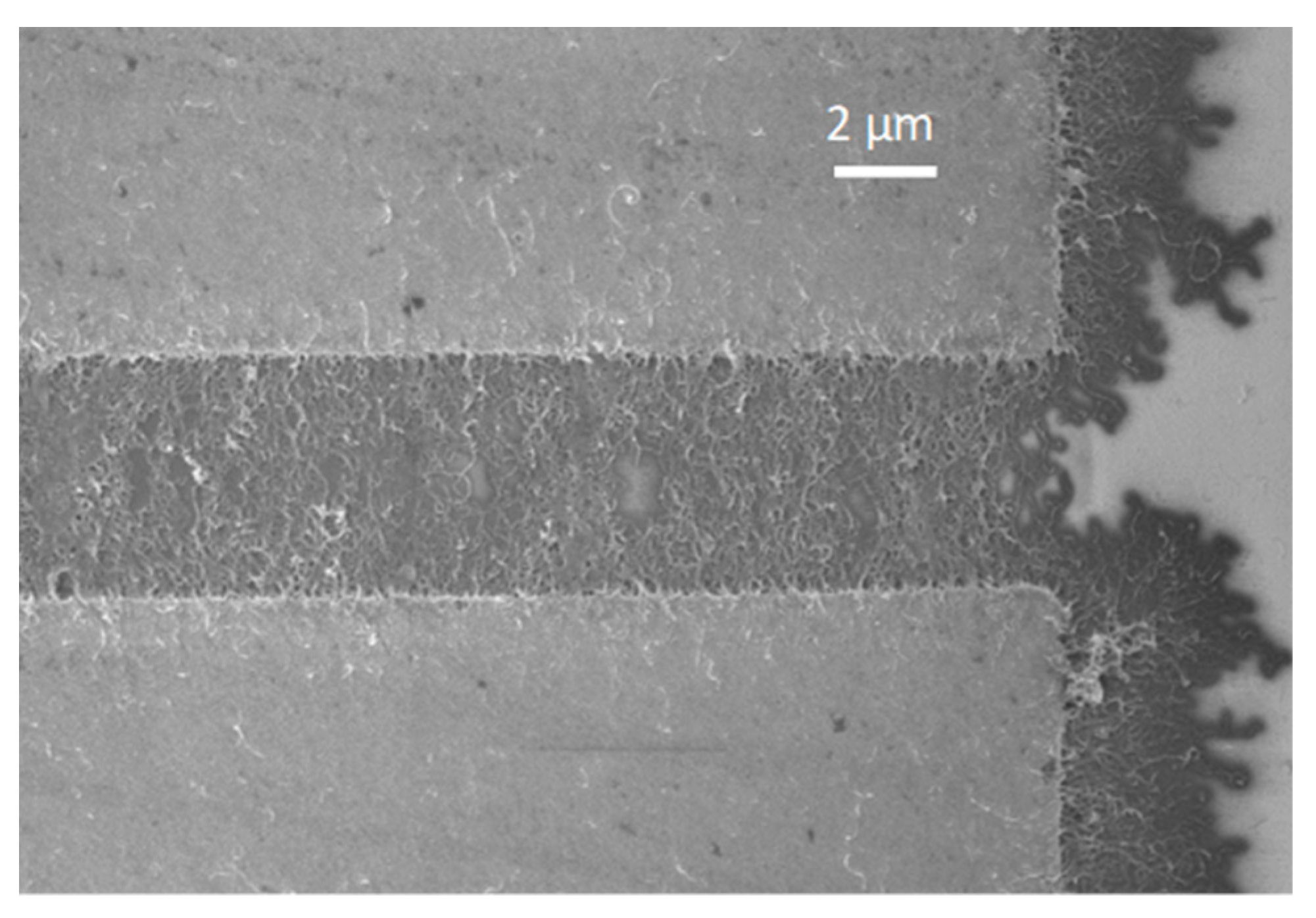 Nanomaterials 09 01099 g001