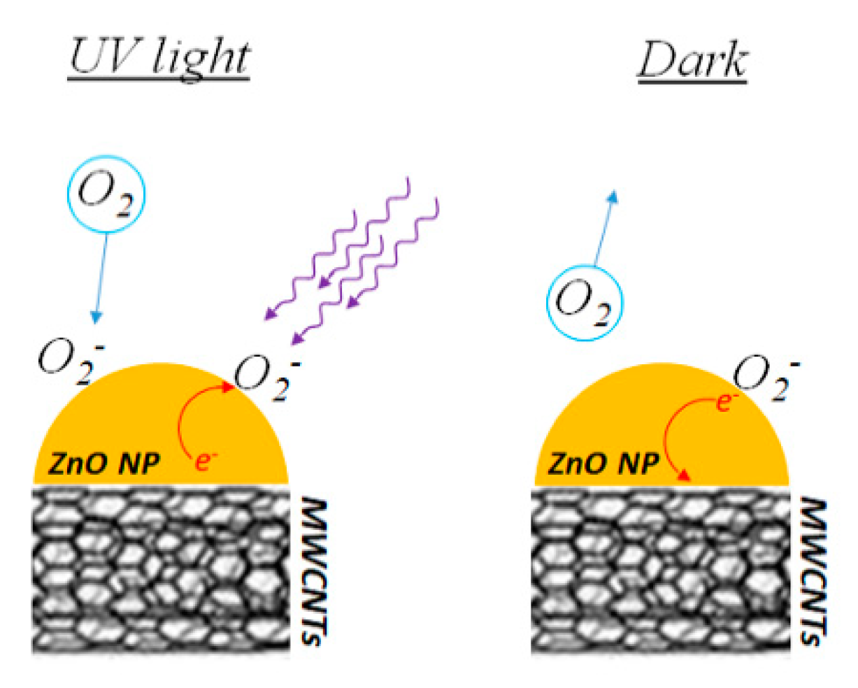 Nanomaterials 09 01099 g008