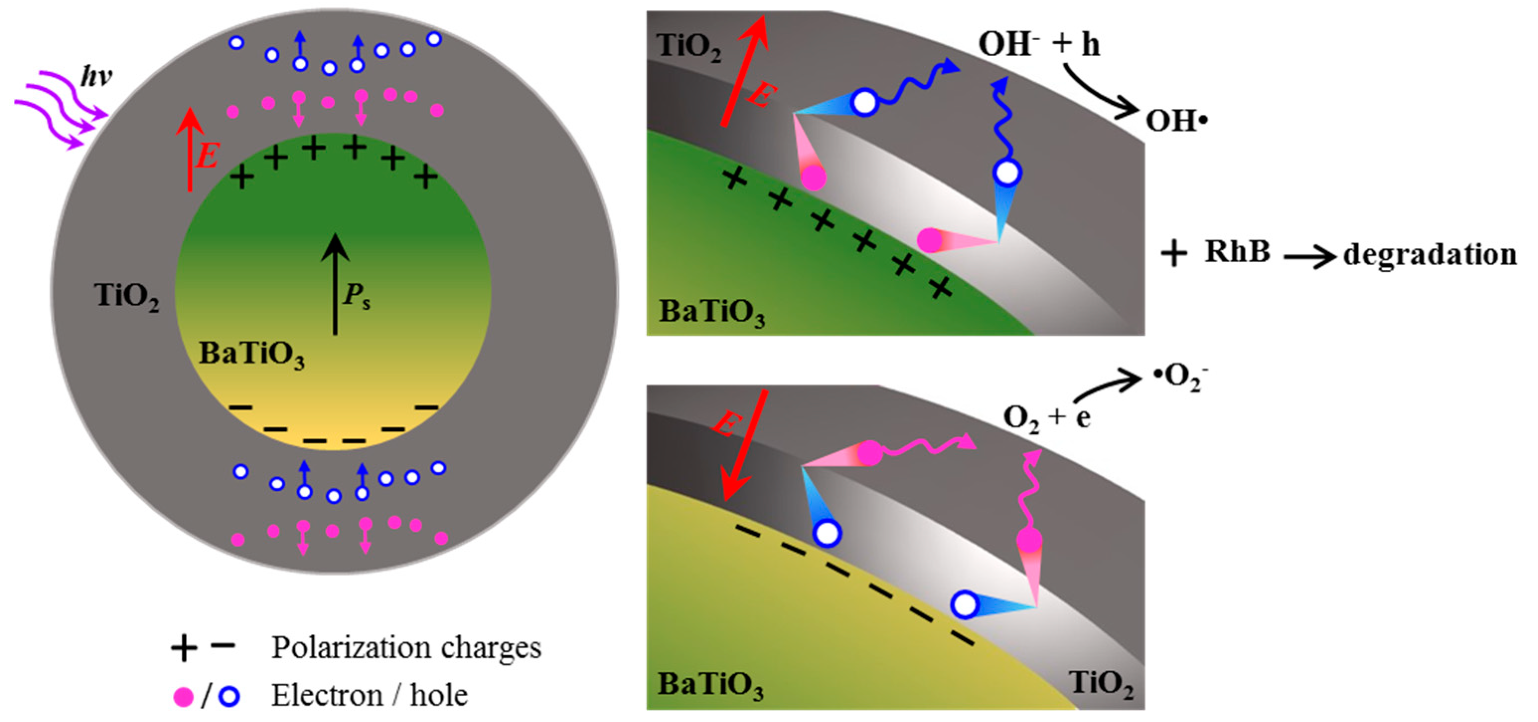 Nanomaterials 09 01116 g003 550