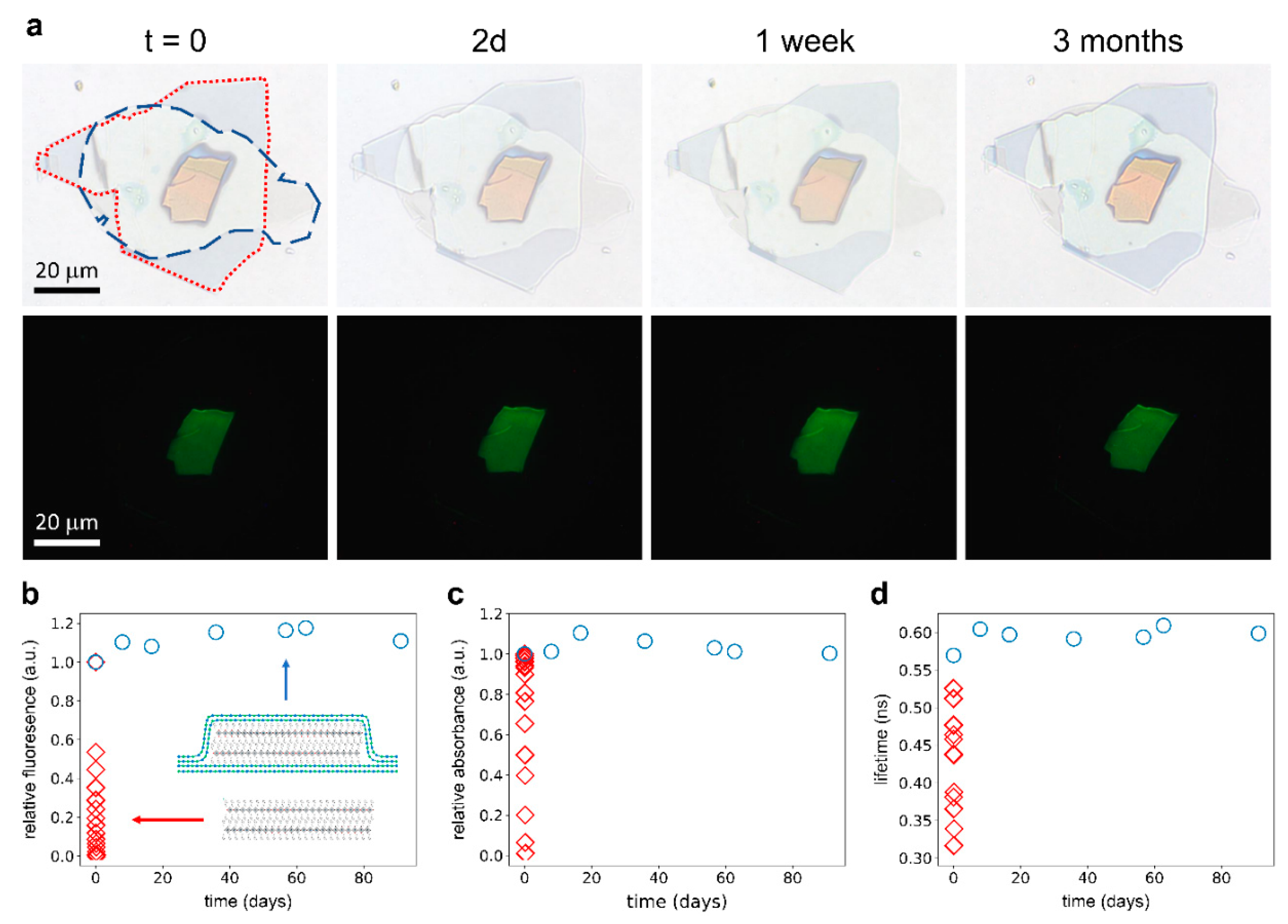 Nanomaterials 09 01120 g003 Nanomaterials 09 01120 g003