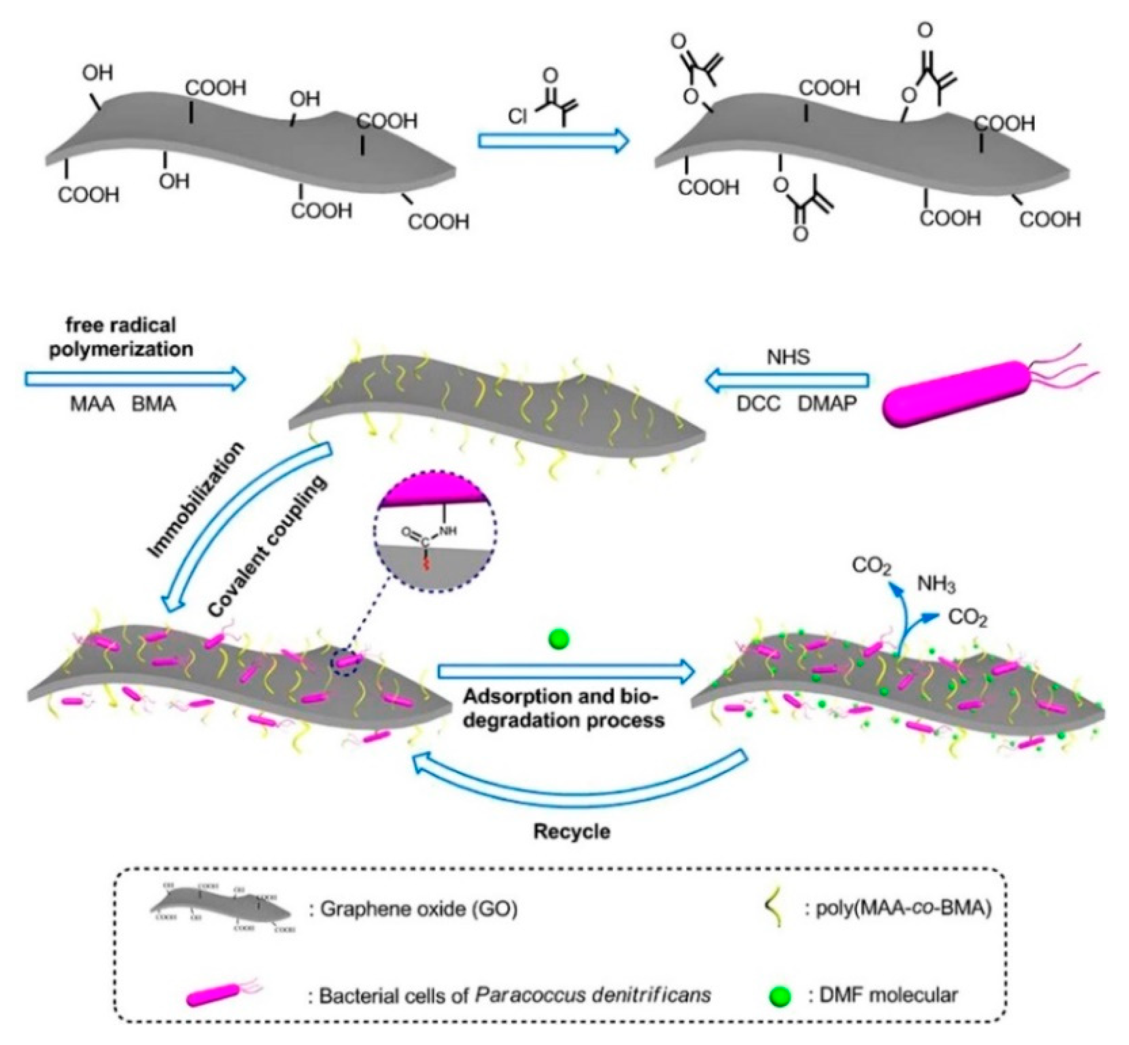 Nanomaterials 09 01123 g003 Nanomaterials 09 01123 g003
