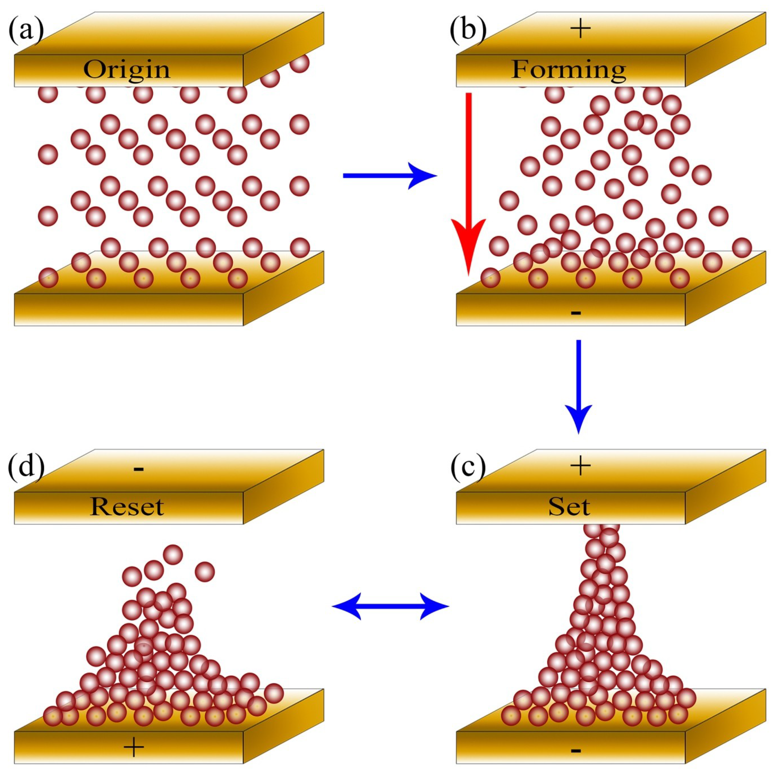 Nanomaterials 09 01124 g008