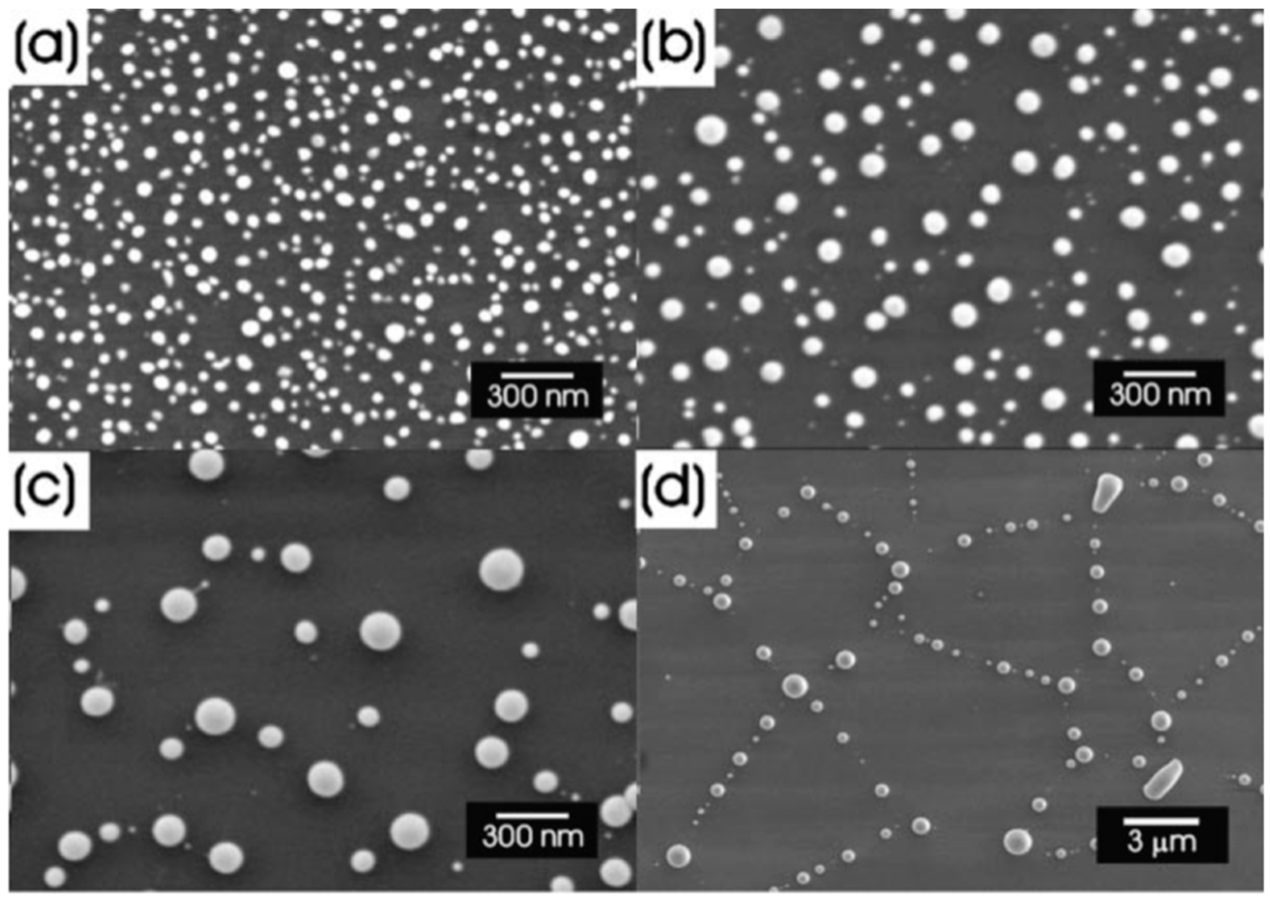 Nanomaterials 09 01133 g005