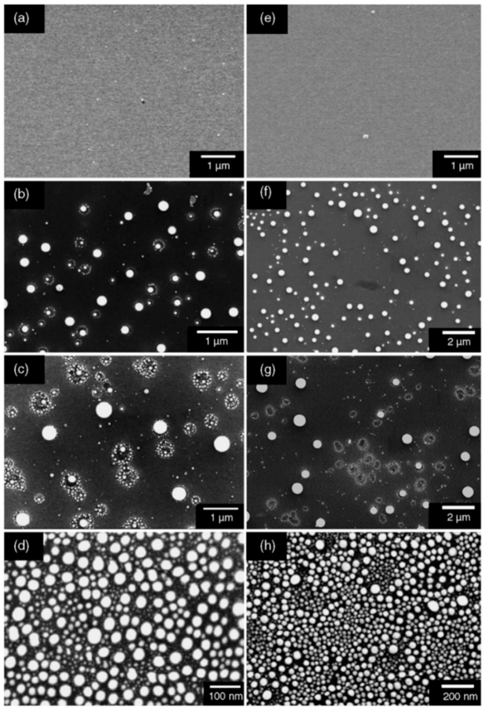 Nanomaterials 09 01133 g008