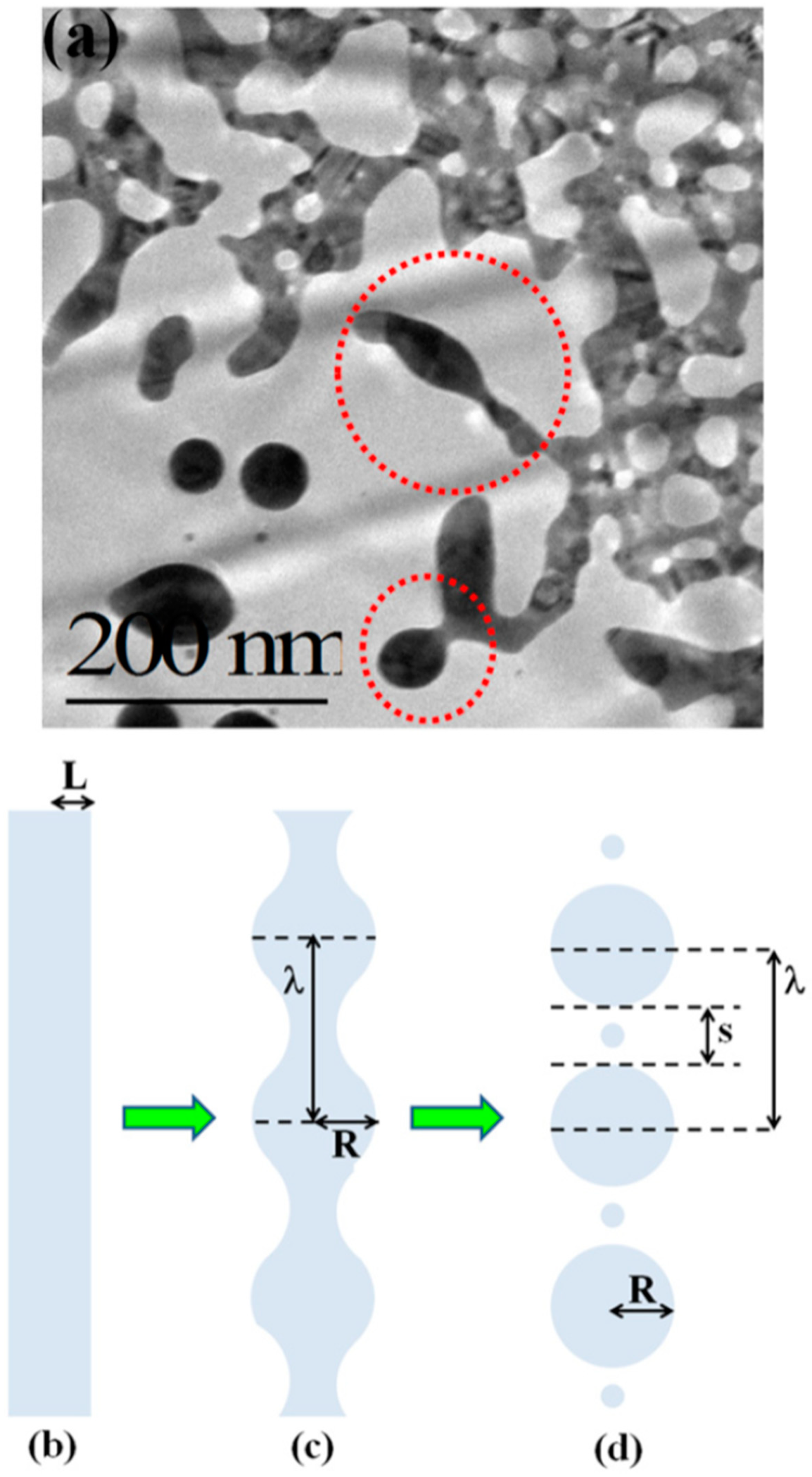 Nanomaterials 09 01133 g014