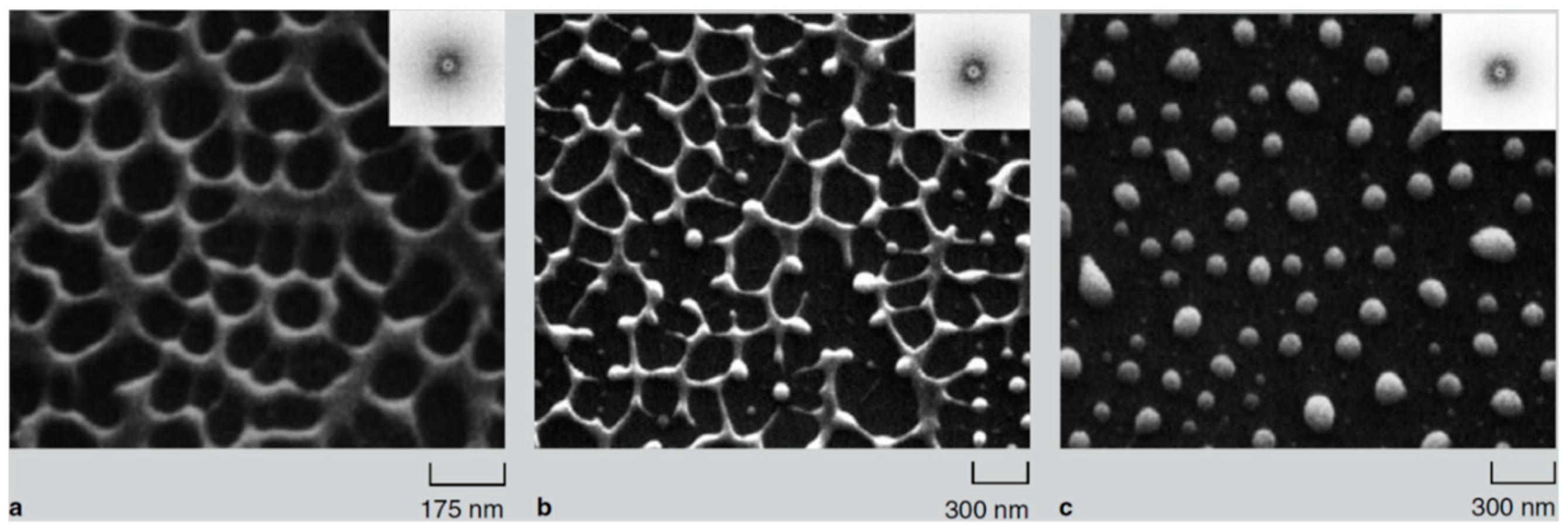 Nanomaterials 09 01133 g017