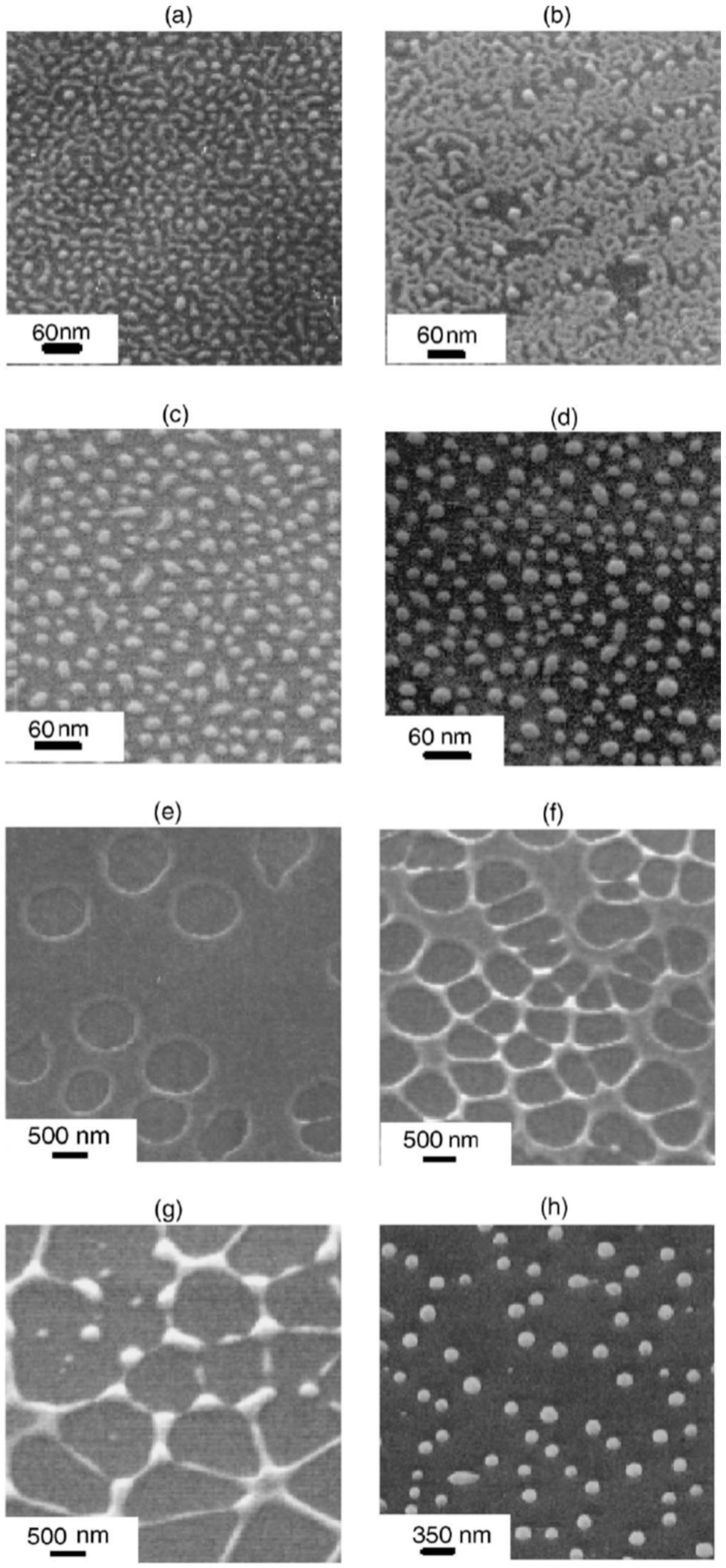 Nanomaterials 09 01133 g021