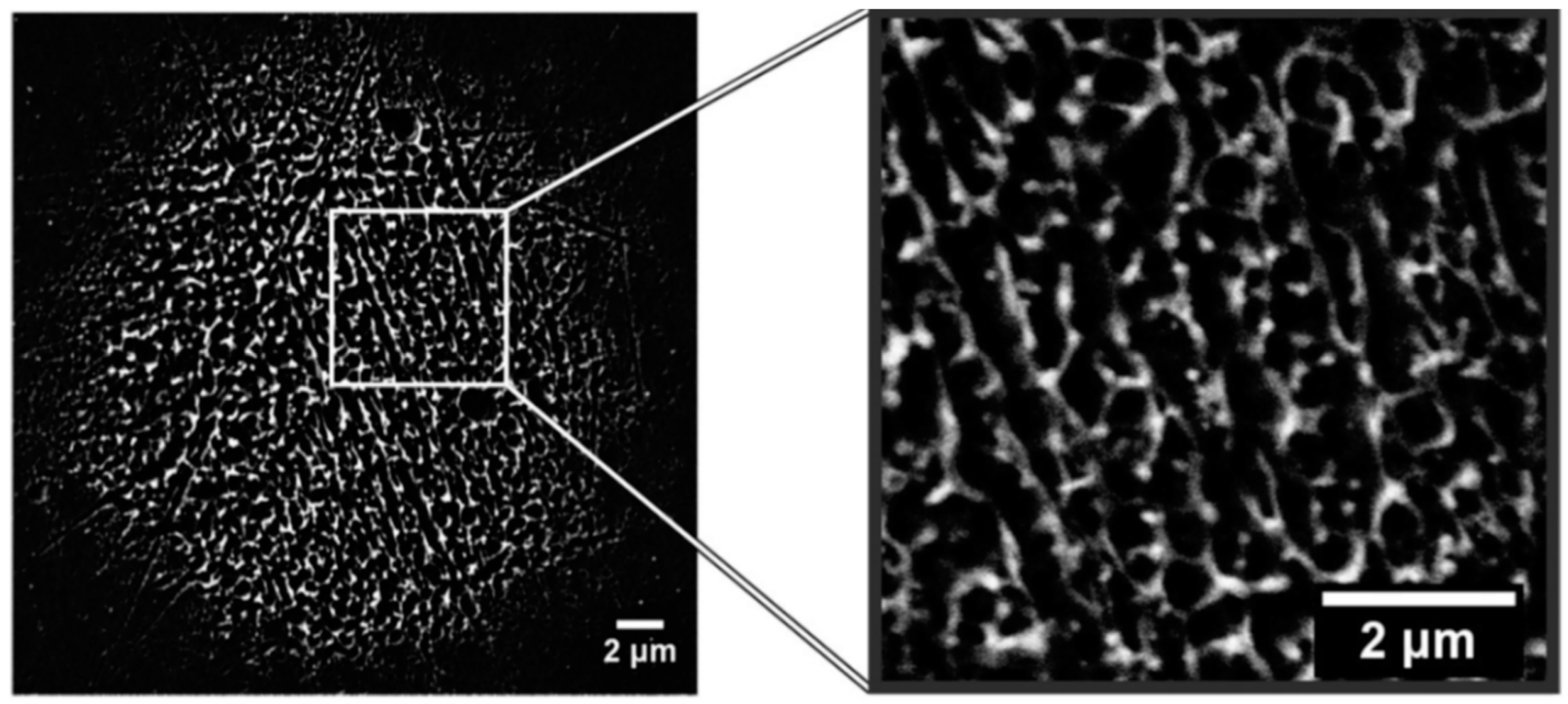 Nanomaterials 09 01133 g030