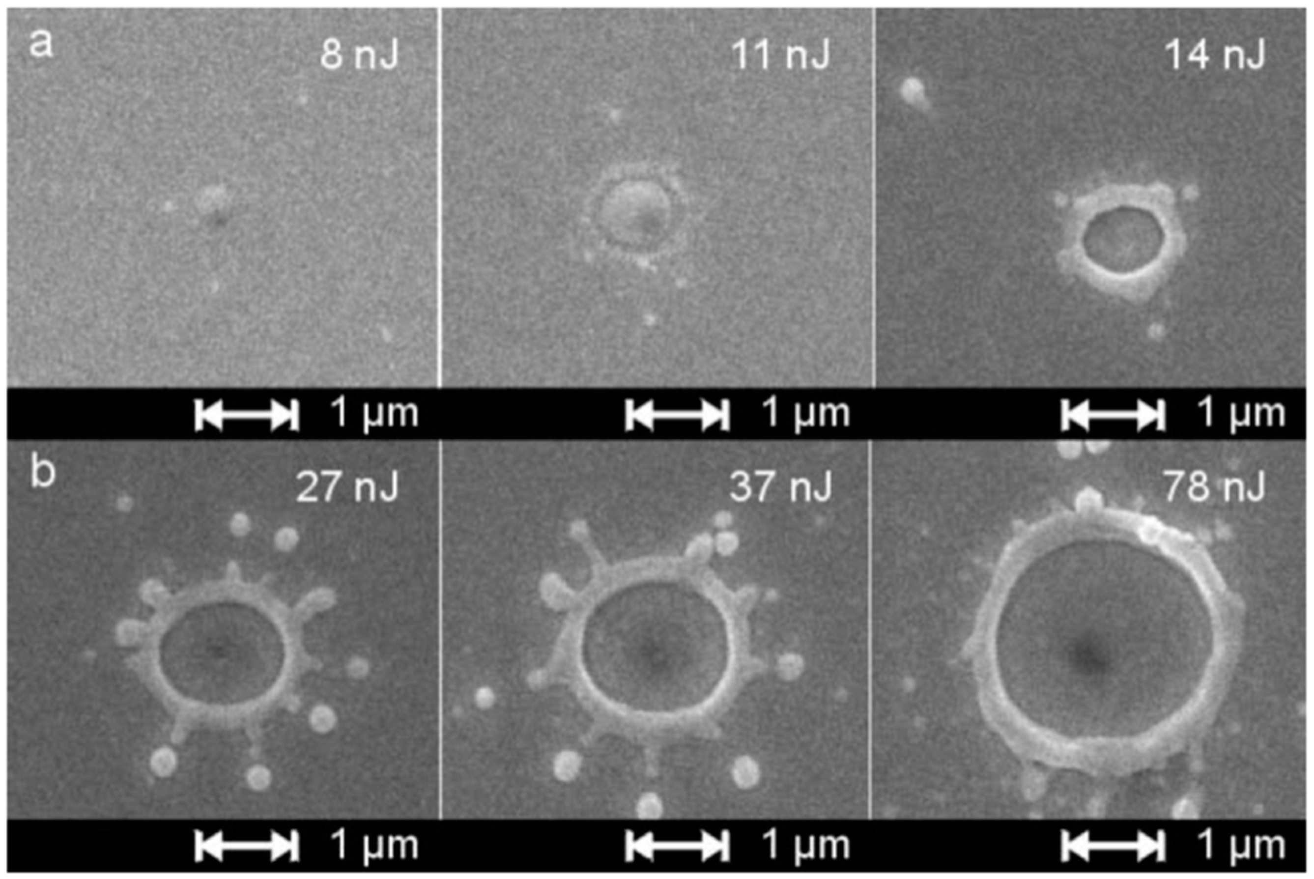 Nanomaterials 09 01133 g036