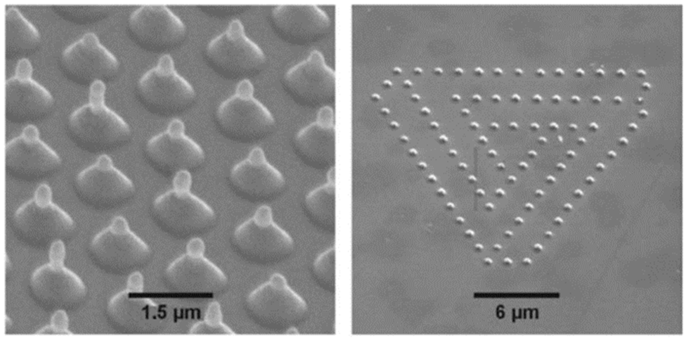 Nanomaterials 09 01133 g039