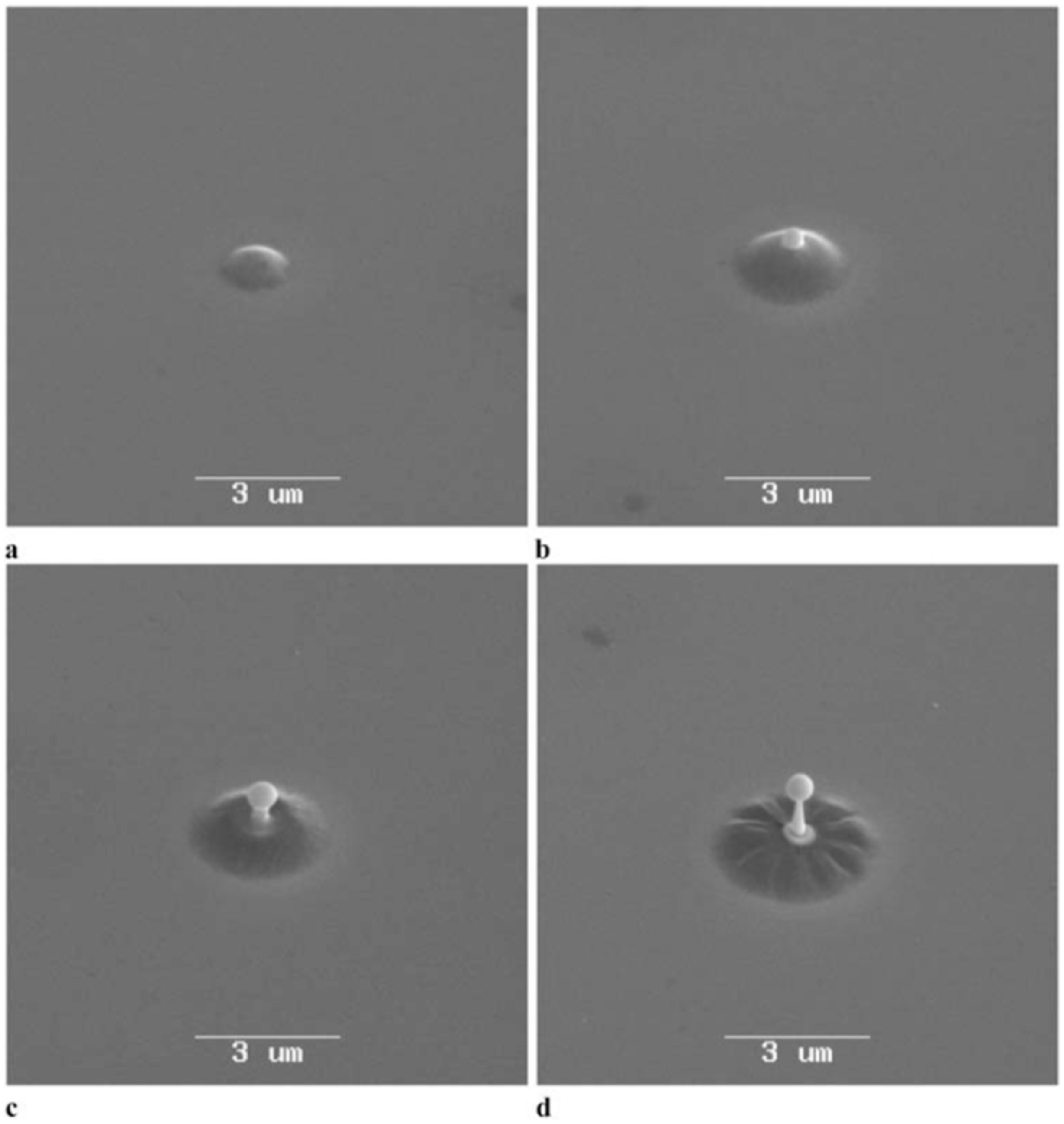 Nanomaterials 09 01133 g041