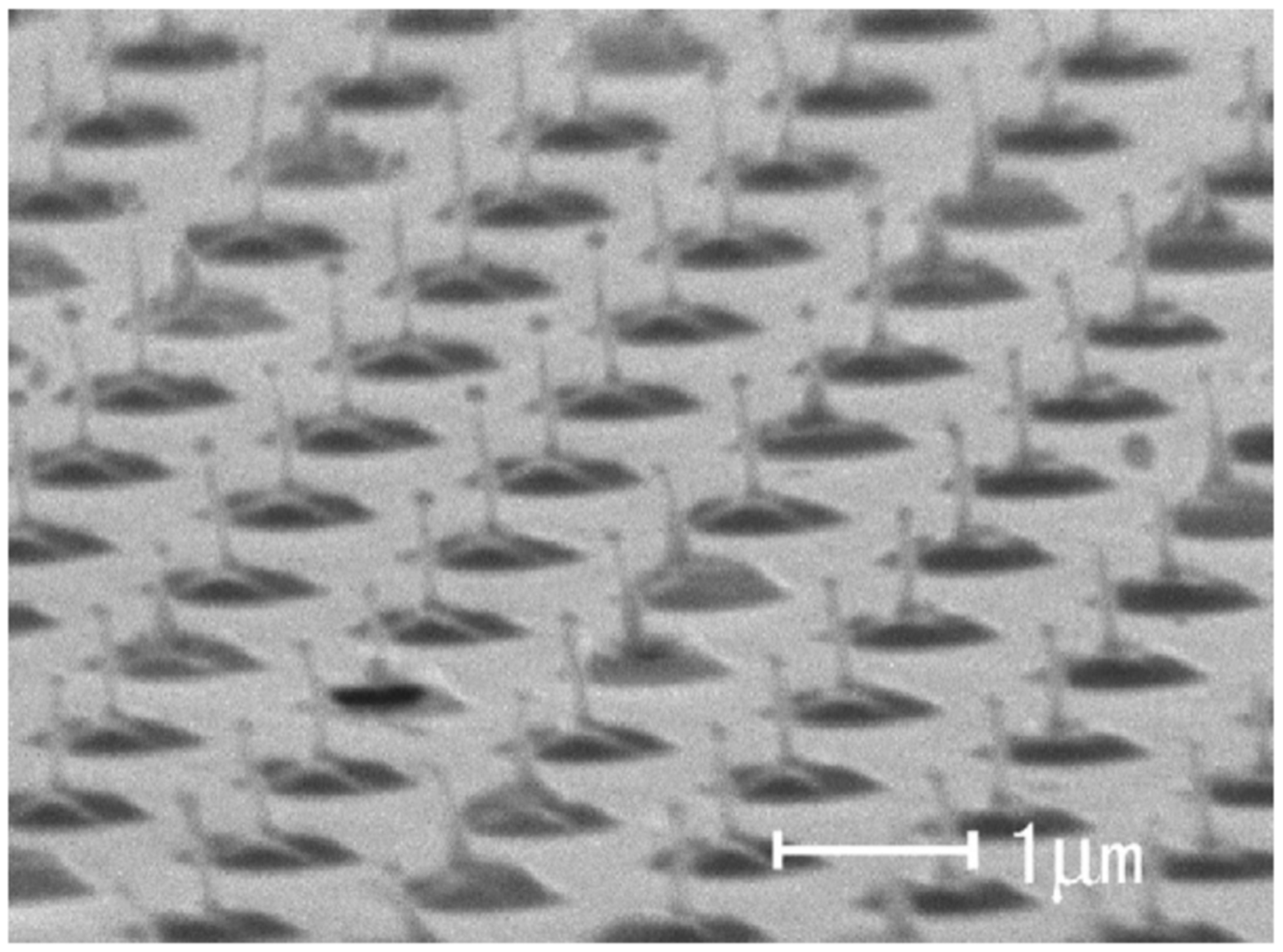Nanomaterials 09 01133 g047