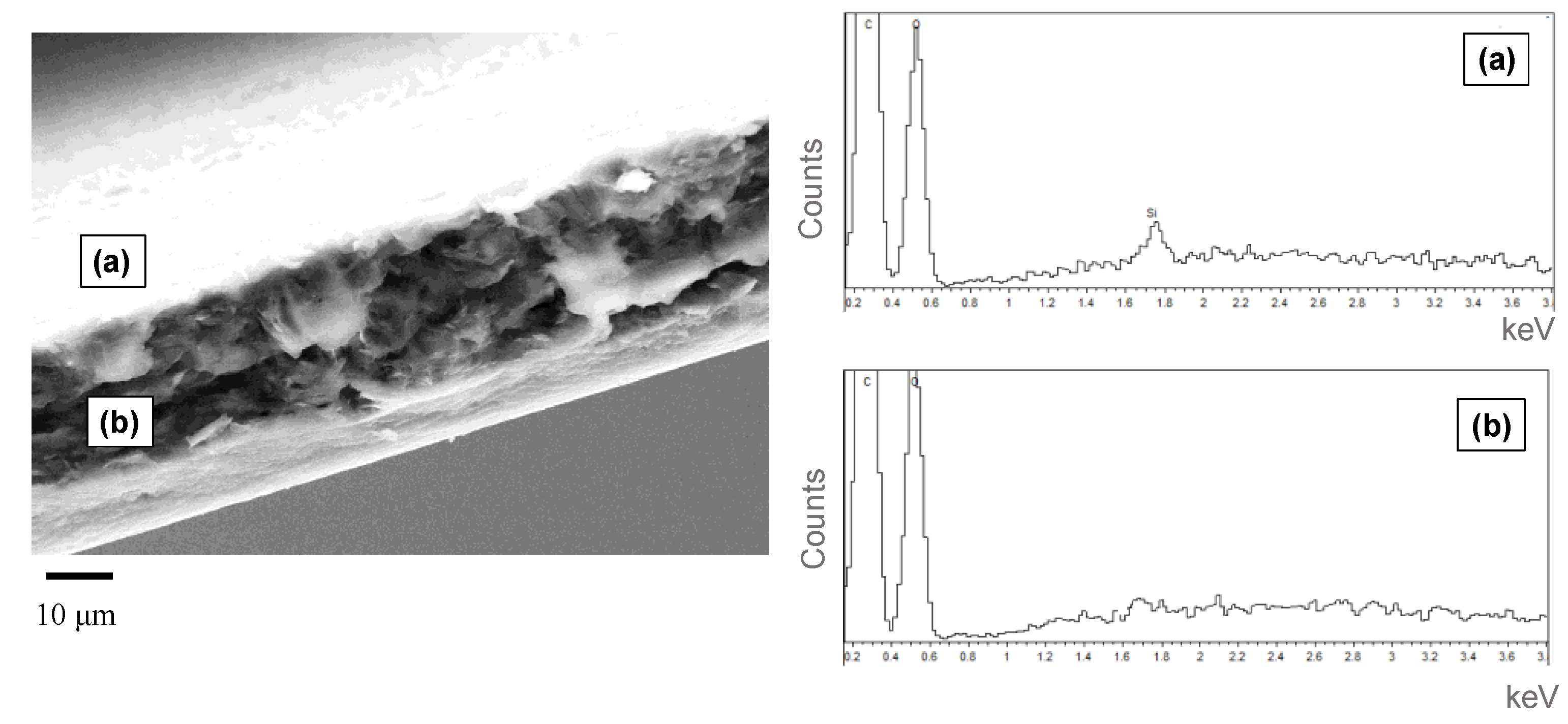 Nanomaterials 09 01144 g002 550