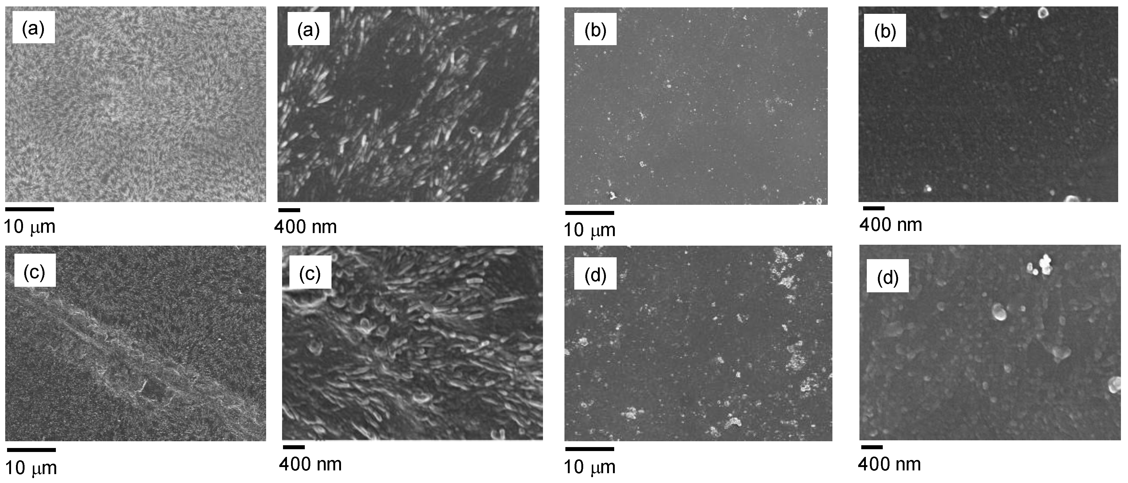 Nanomaterials 09 01144 g004 550