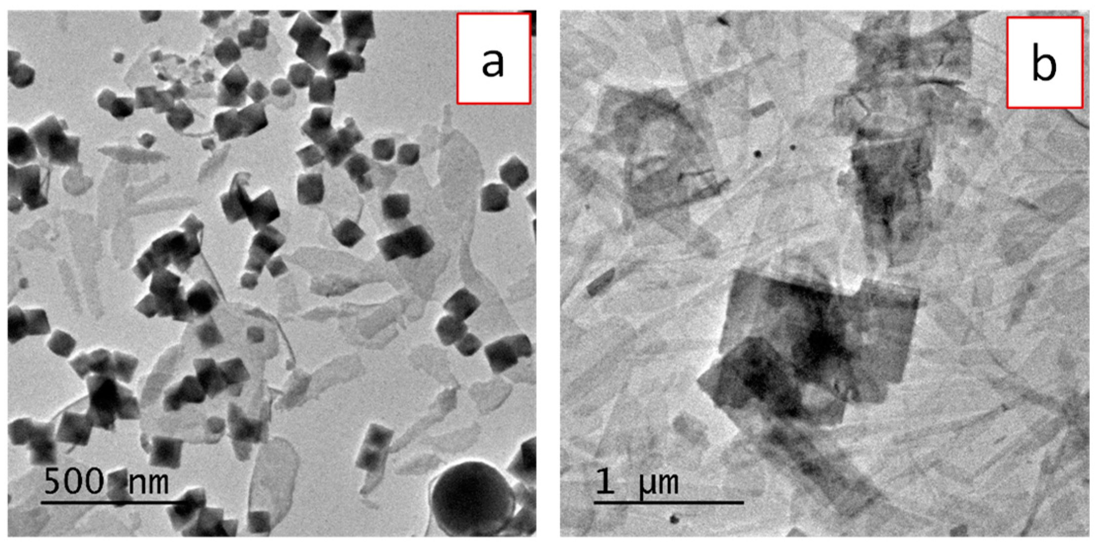 Nanomaterials 09 01153 g003
