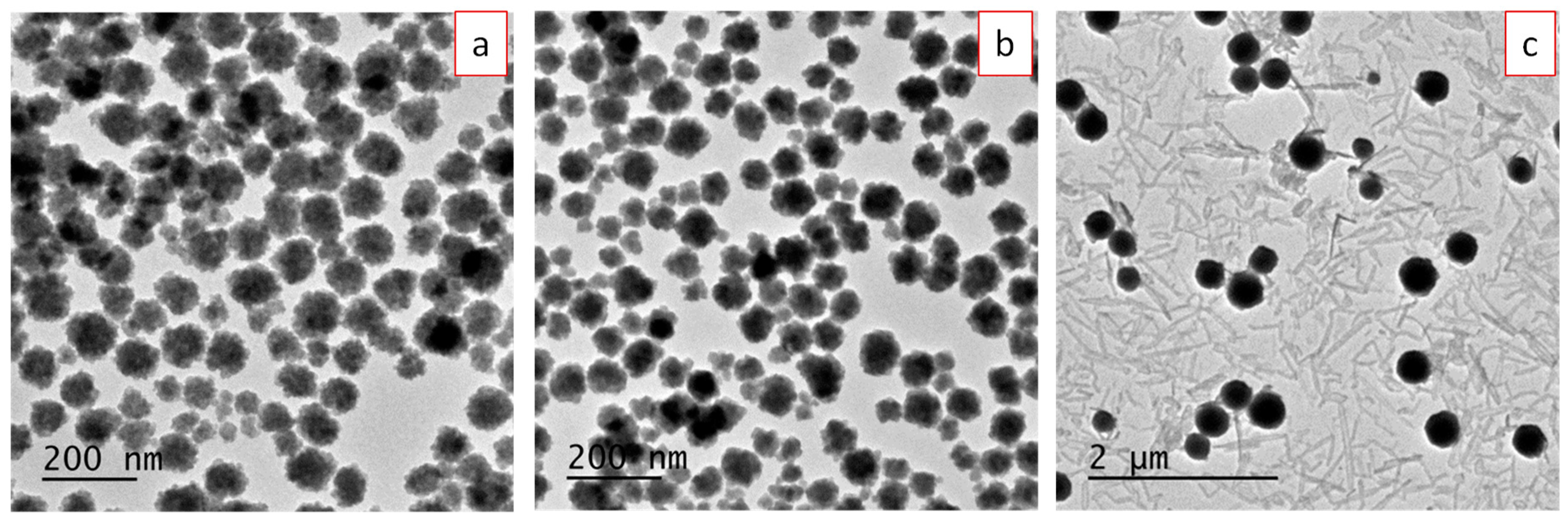 Nanomaterials 09 01153 g004