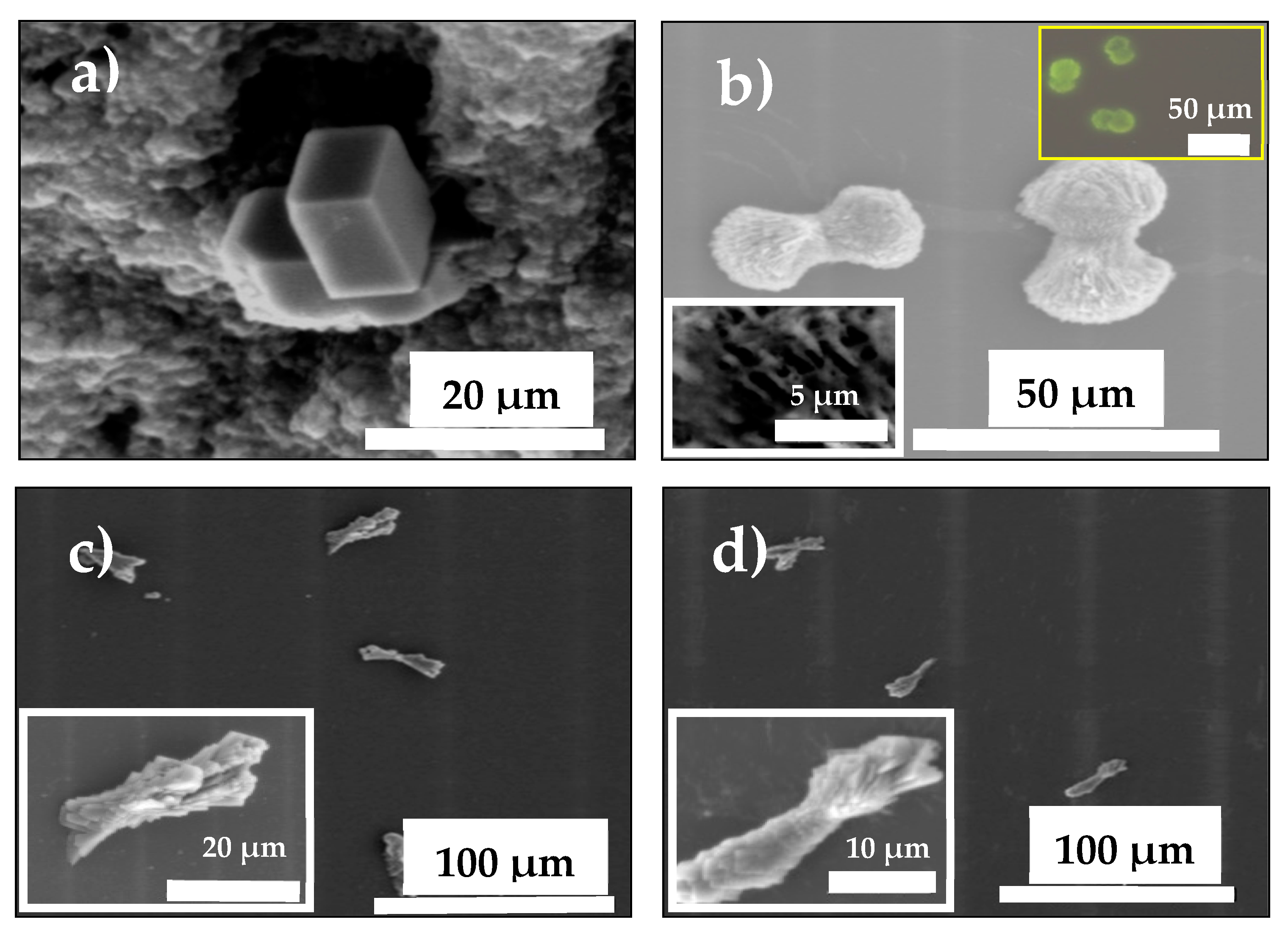 Nanomaterials 09 01169 g002