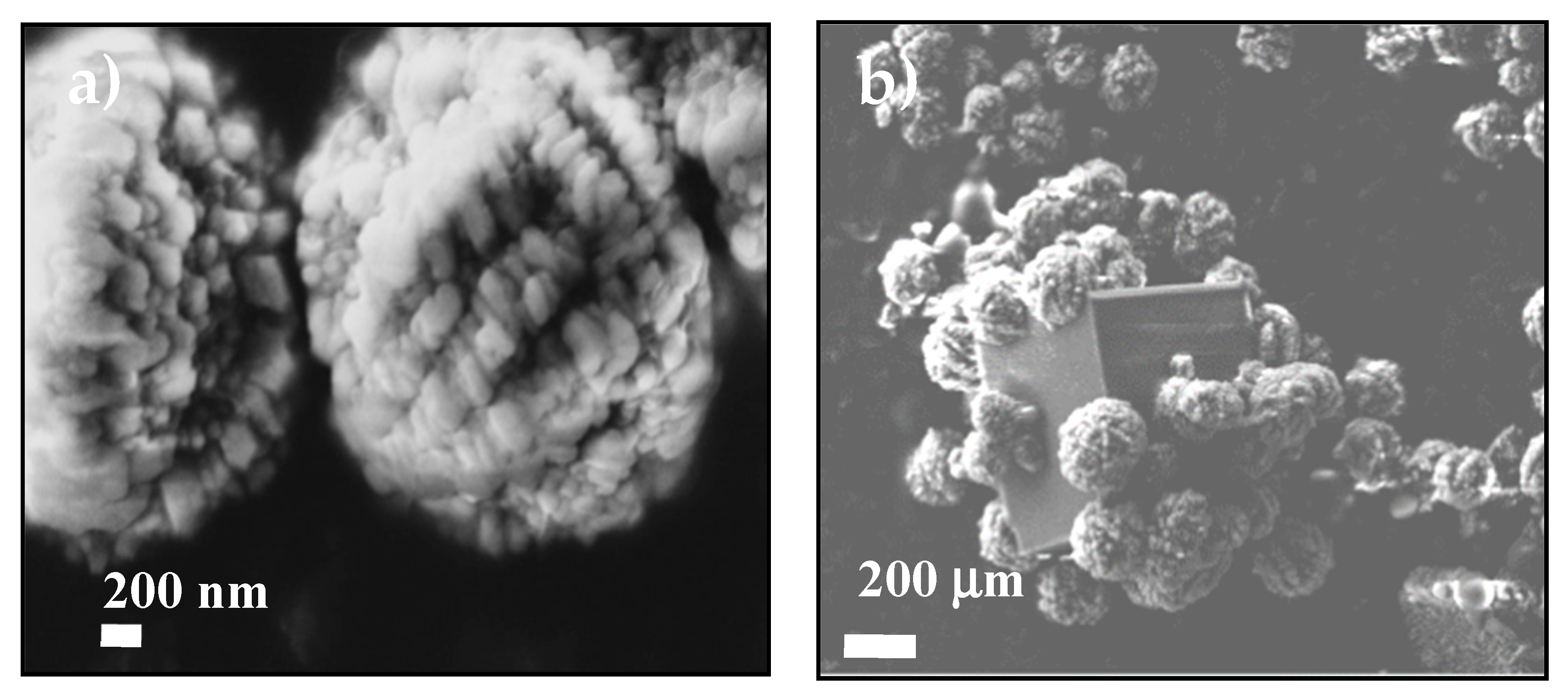 Nanomaterials 09 01169 g005