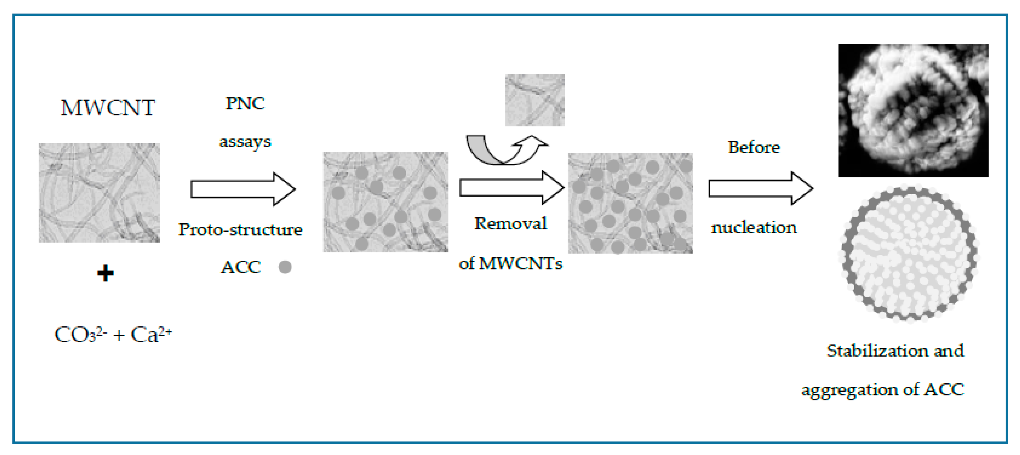 Nanomaterials 09 01169 g007