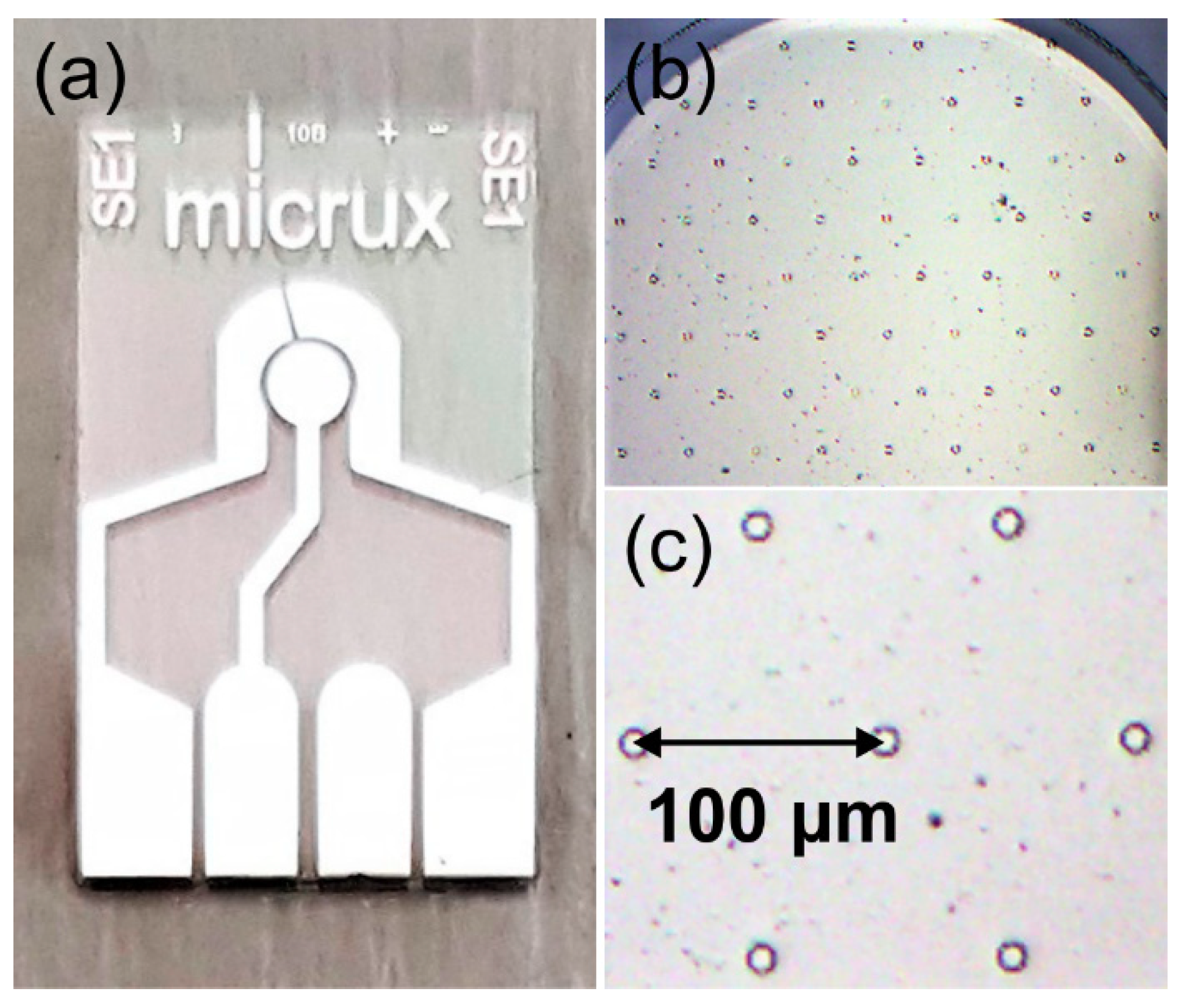 Nanomaterials 09 01170 g002