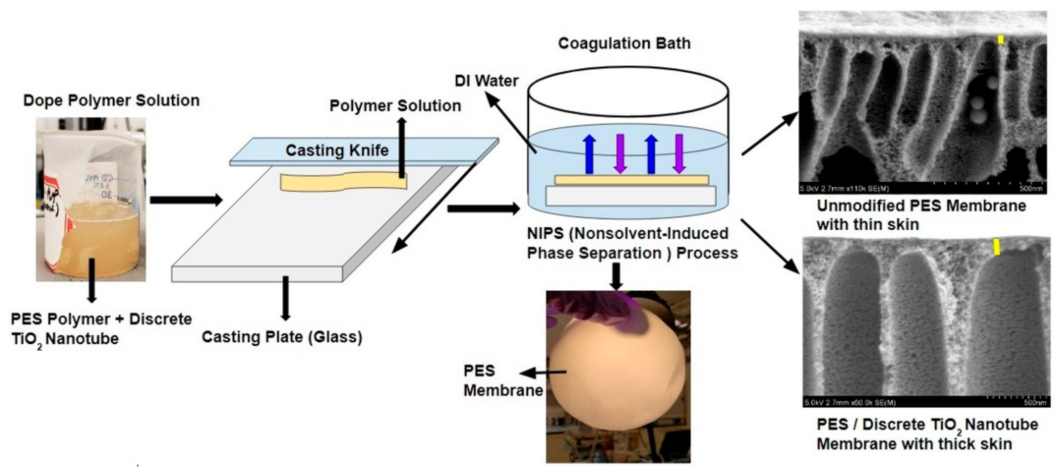 Nanomaterials 09 01186 g003