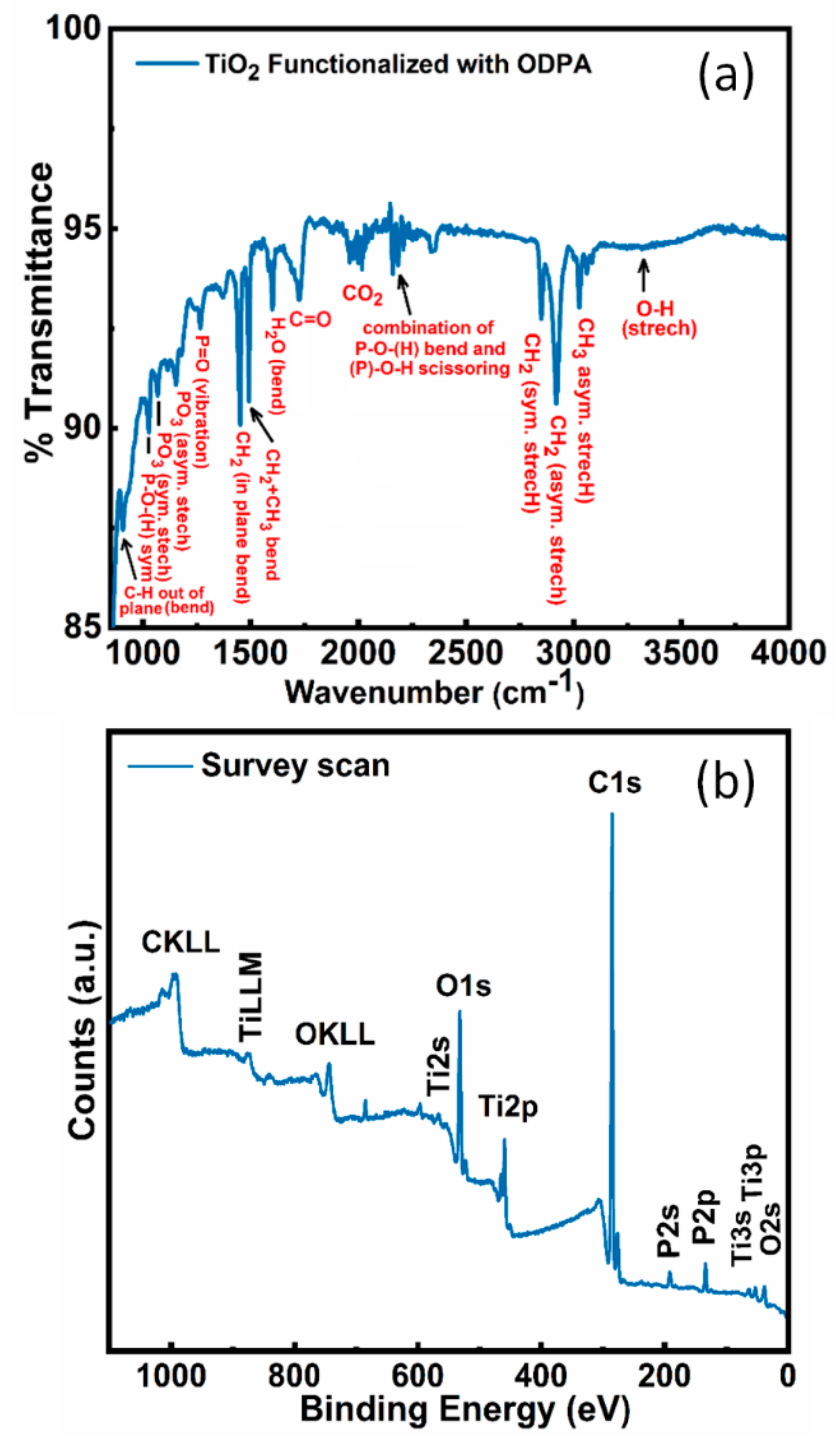 Nanomaterials 09 01186 g004