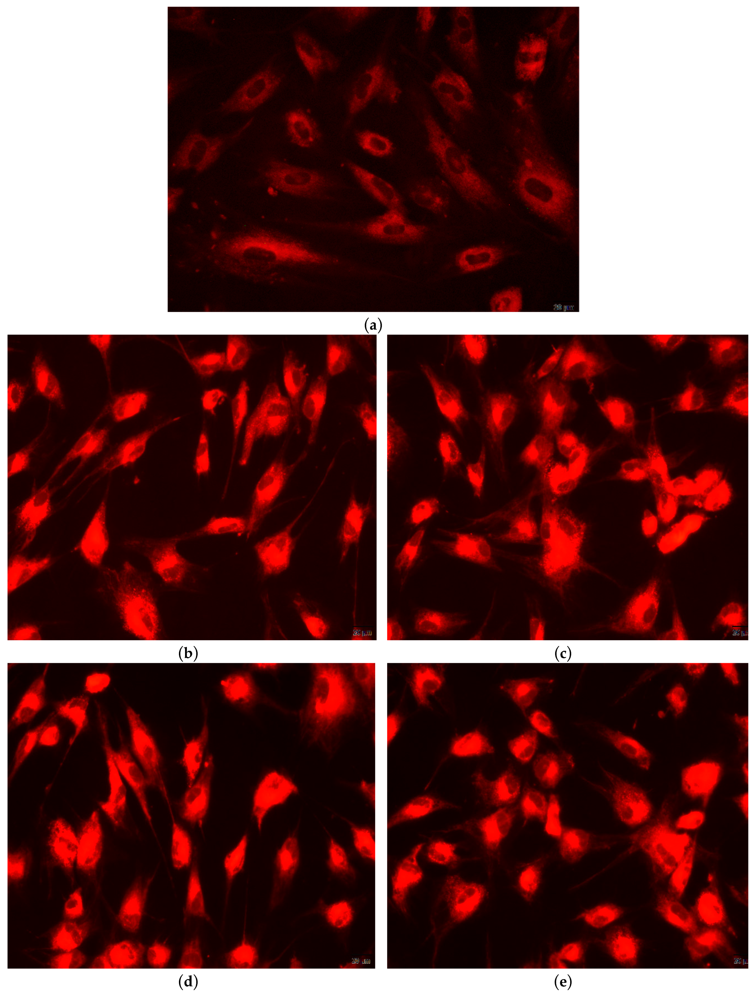 Nanomaterials 09 01187 g011a Nanomaterials 09 01187 g011a