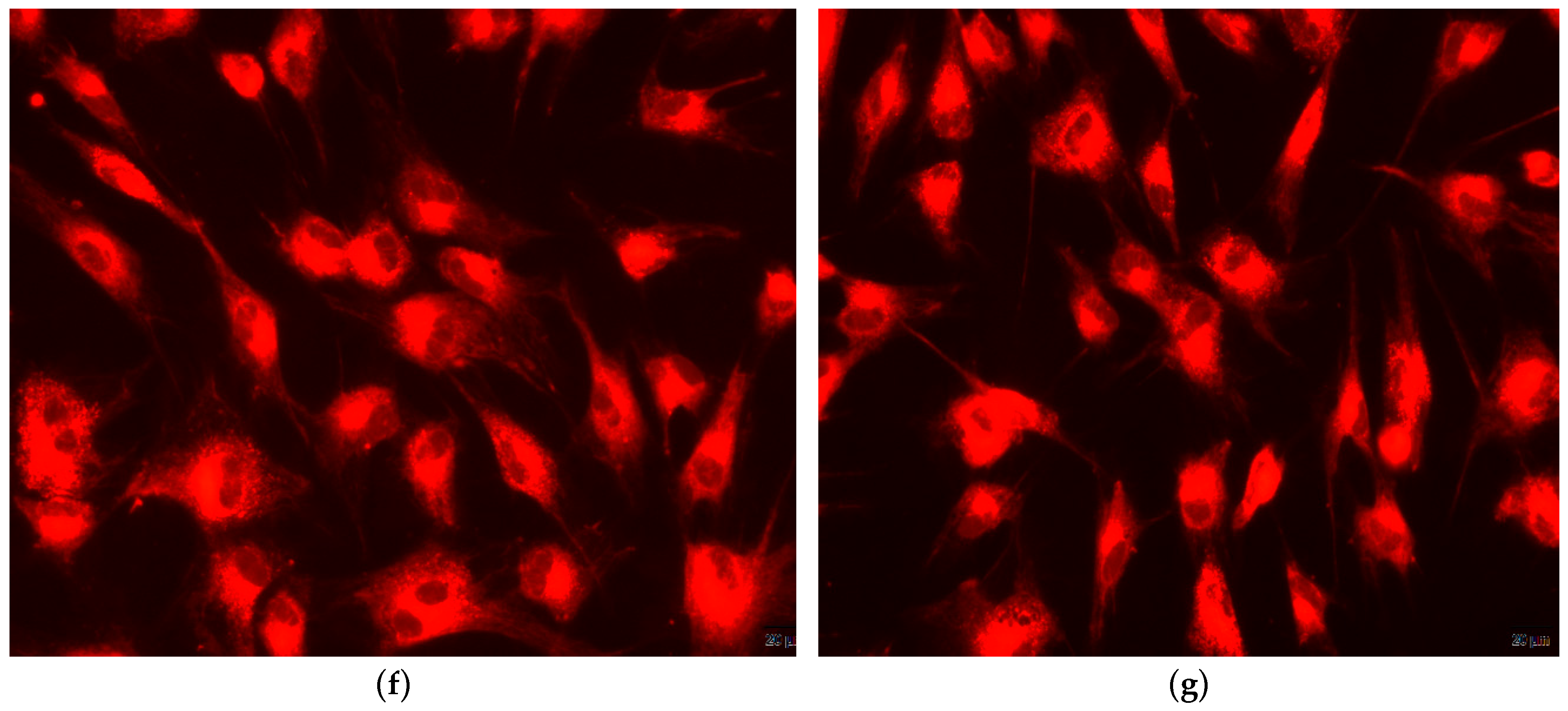 Nanomaterials 09 01187 g011b Nanomaterials 09 01187 g011b